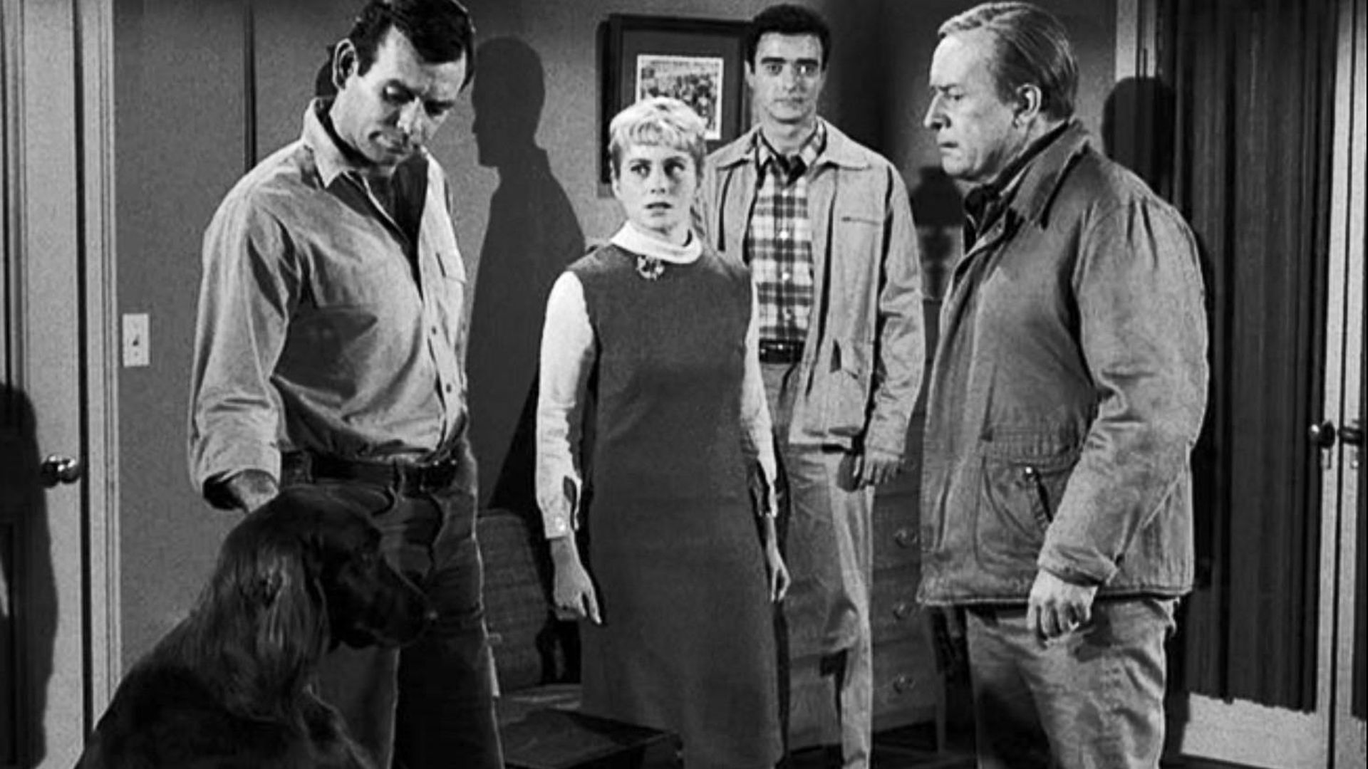 The Fugitive background