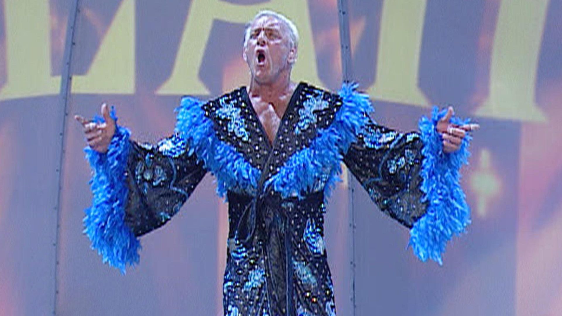 World Wrestling Federation Smackdown! background