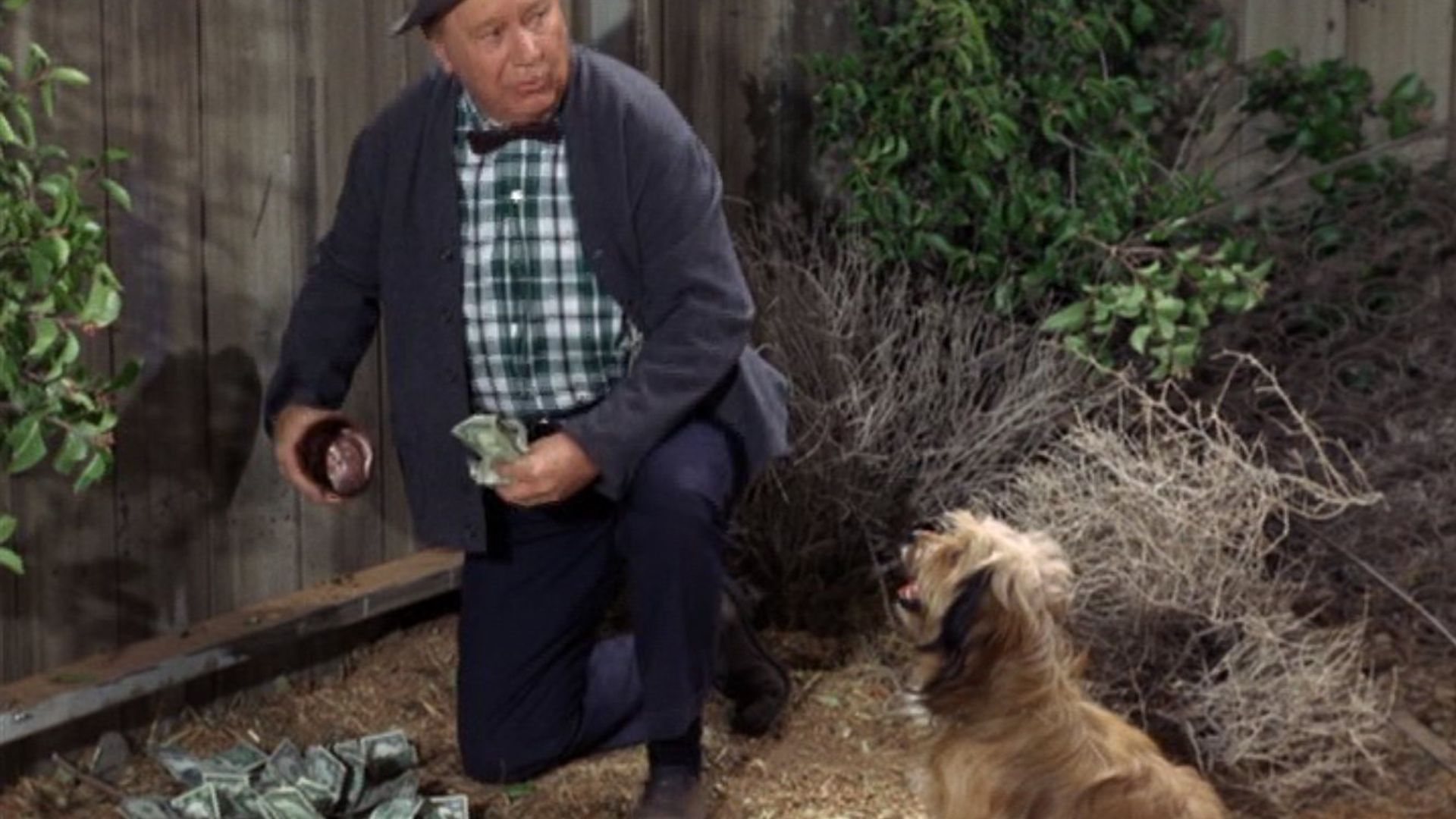 Petticoat Junction background