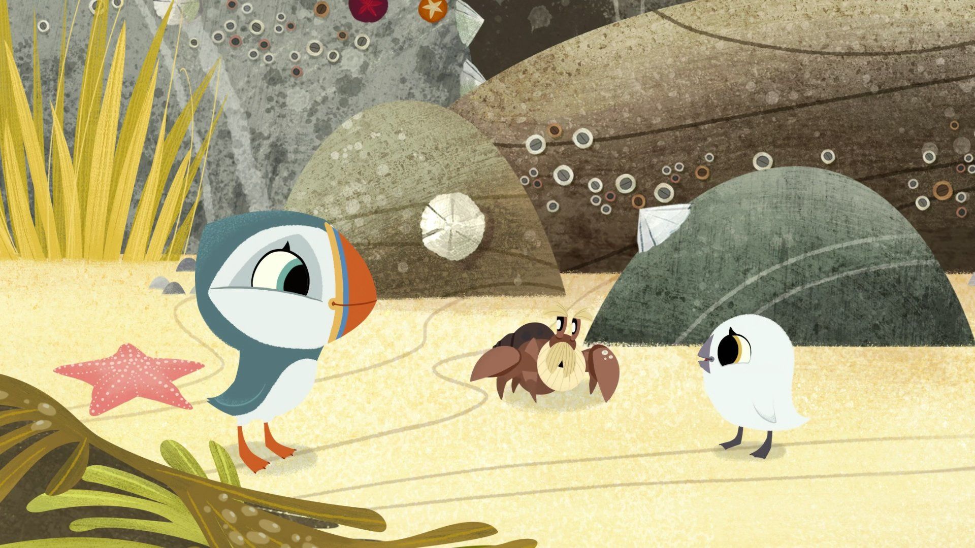 Puffin Rock background