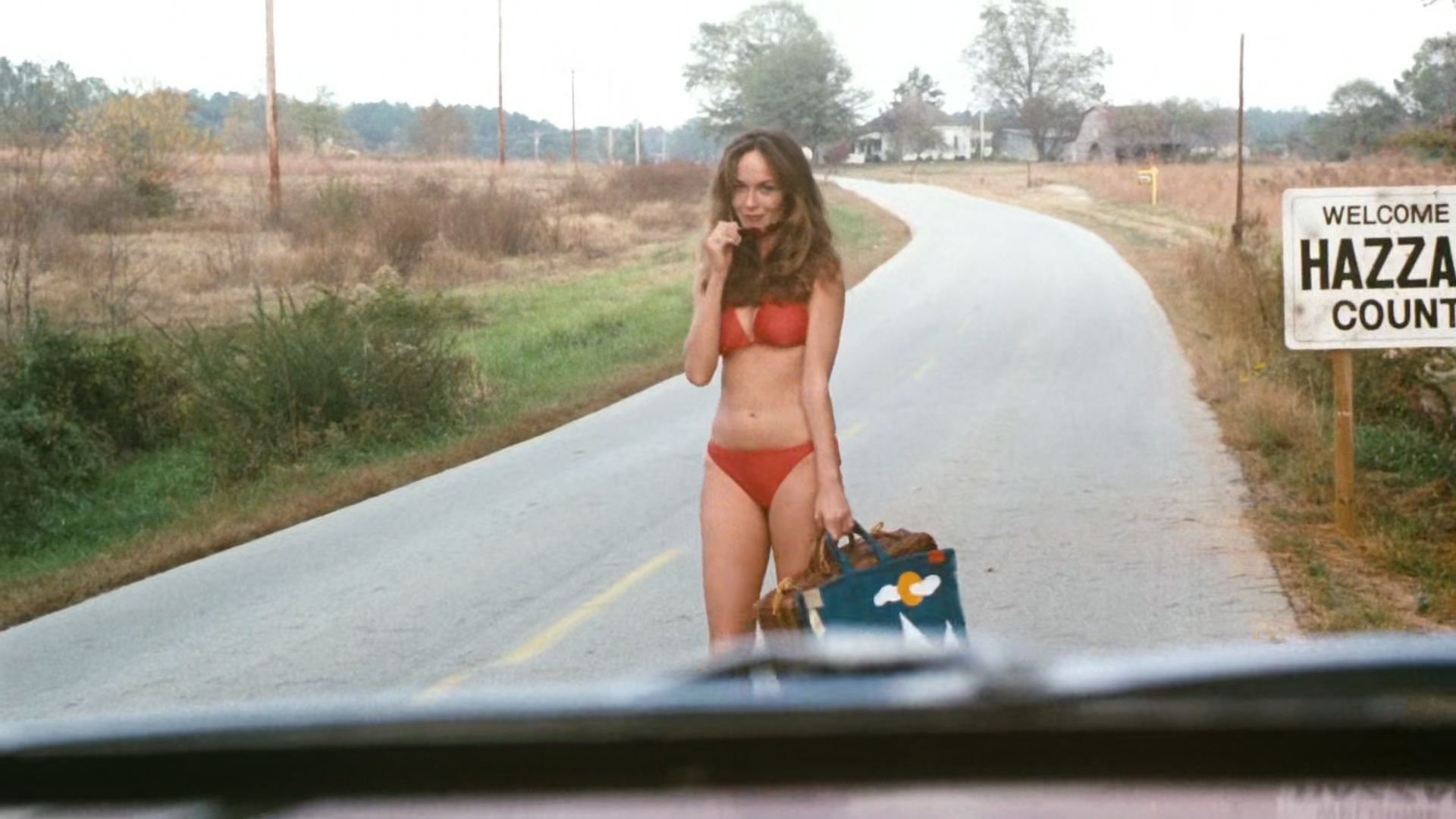 The Dukes of Hazzard background