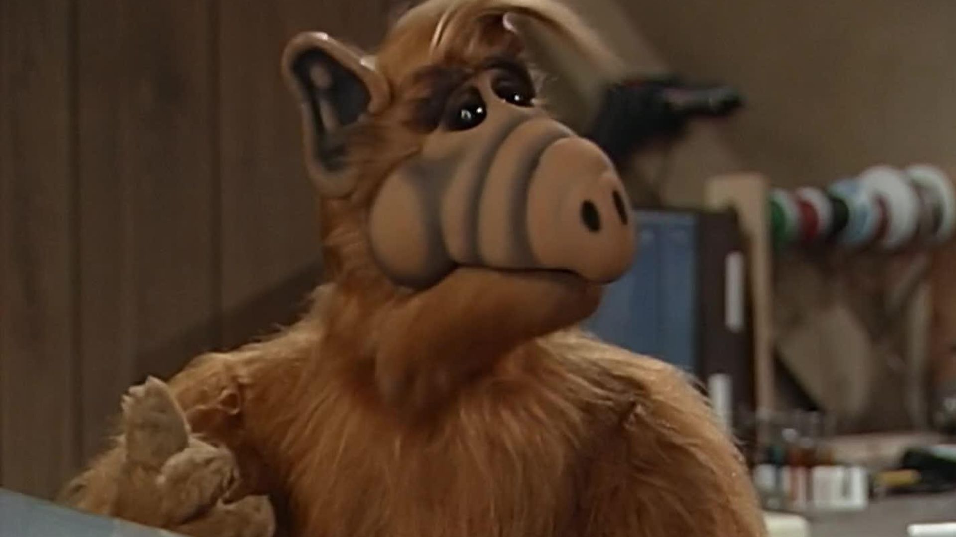 ALF background