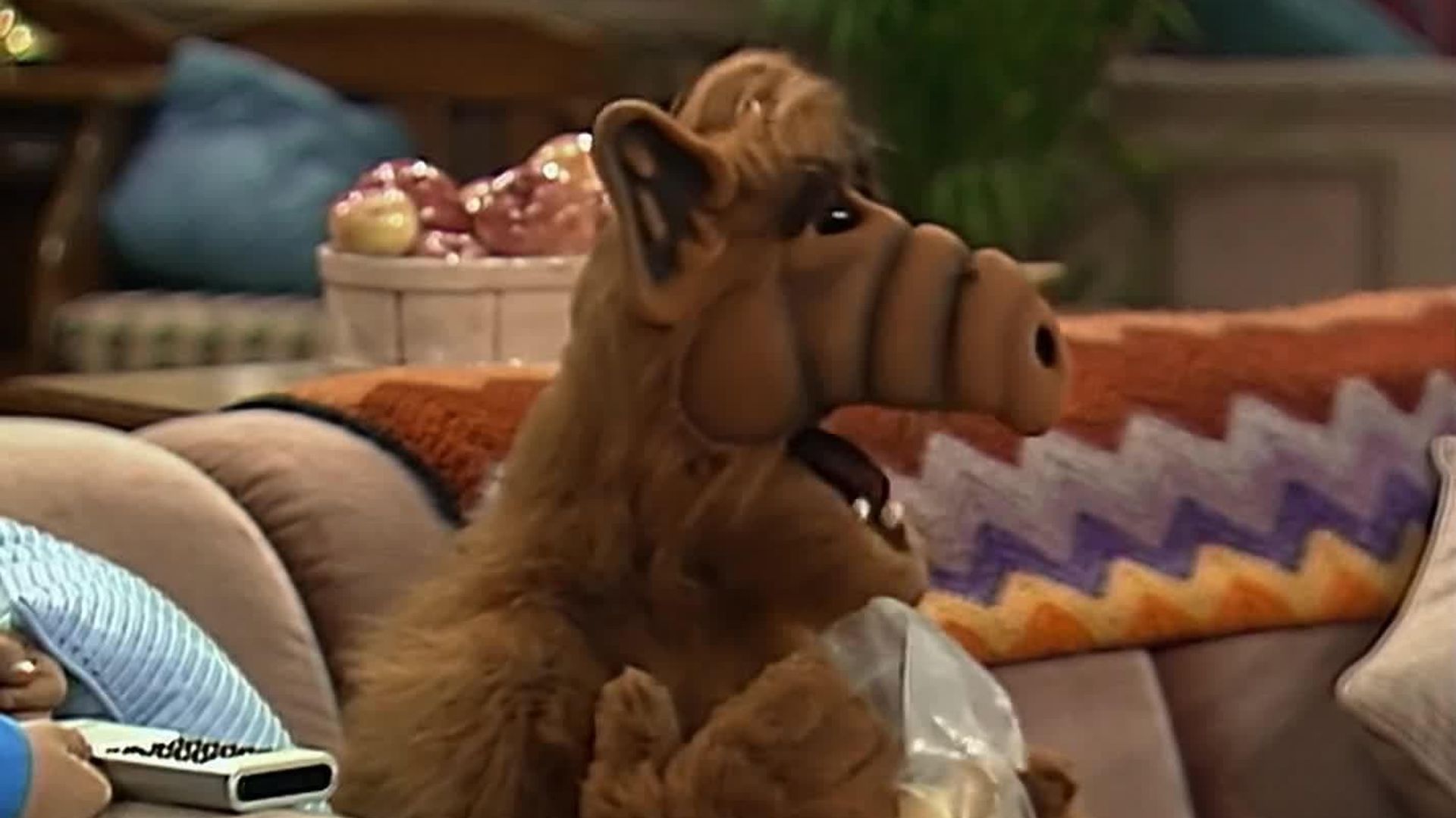 ALF background