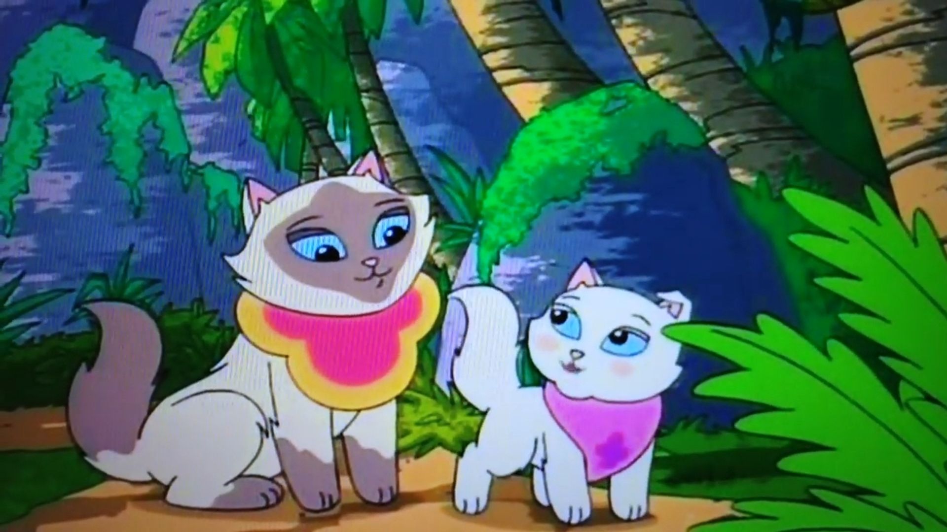 Sagwa, the Chinese Siamese Cat background