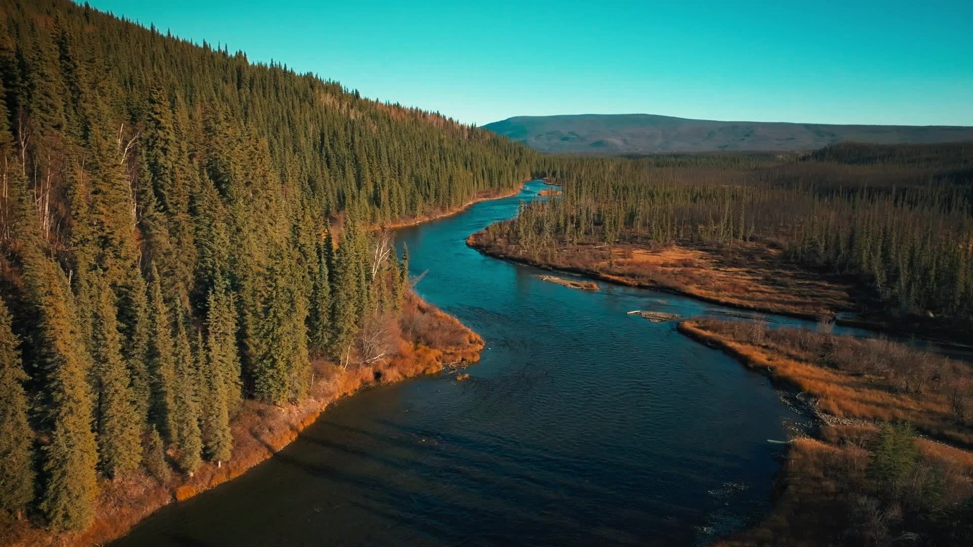 Gold Rush background