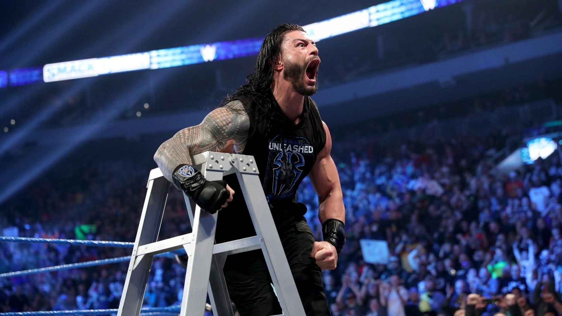 World Wrestling Federation Smackdown! background