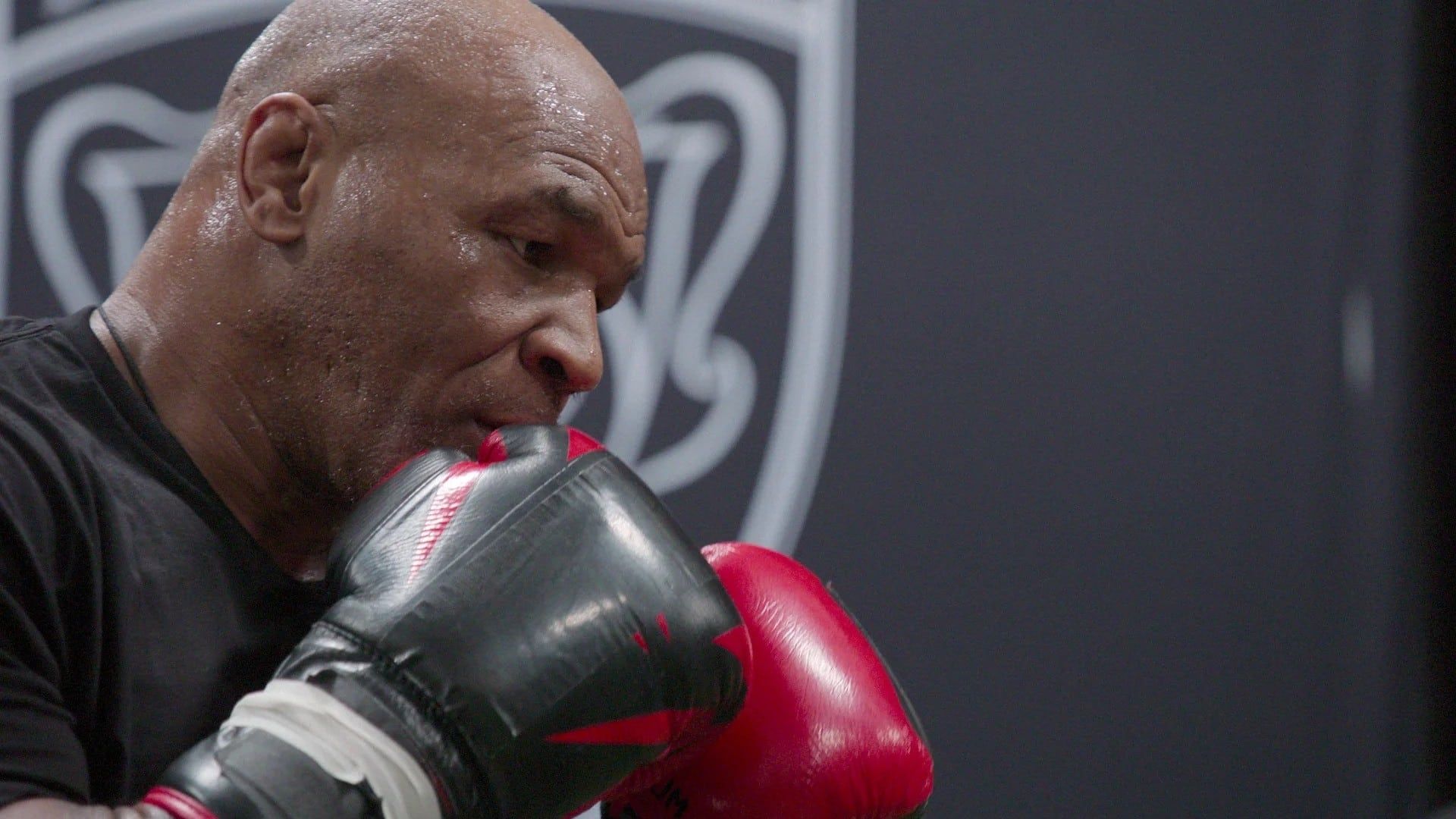 Countdown: Paul vs Tyson background