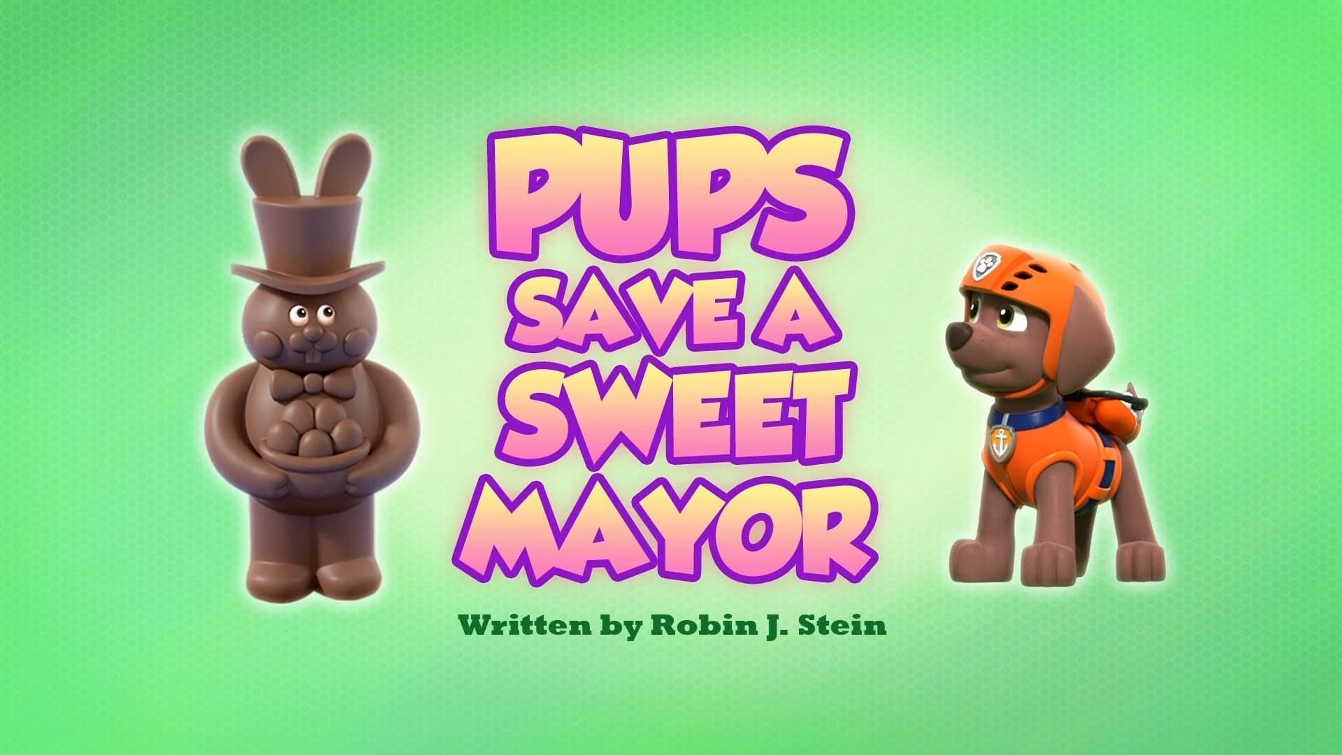PAW Patrol background