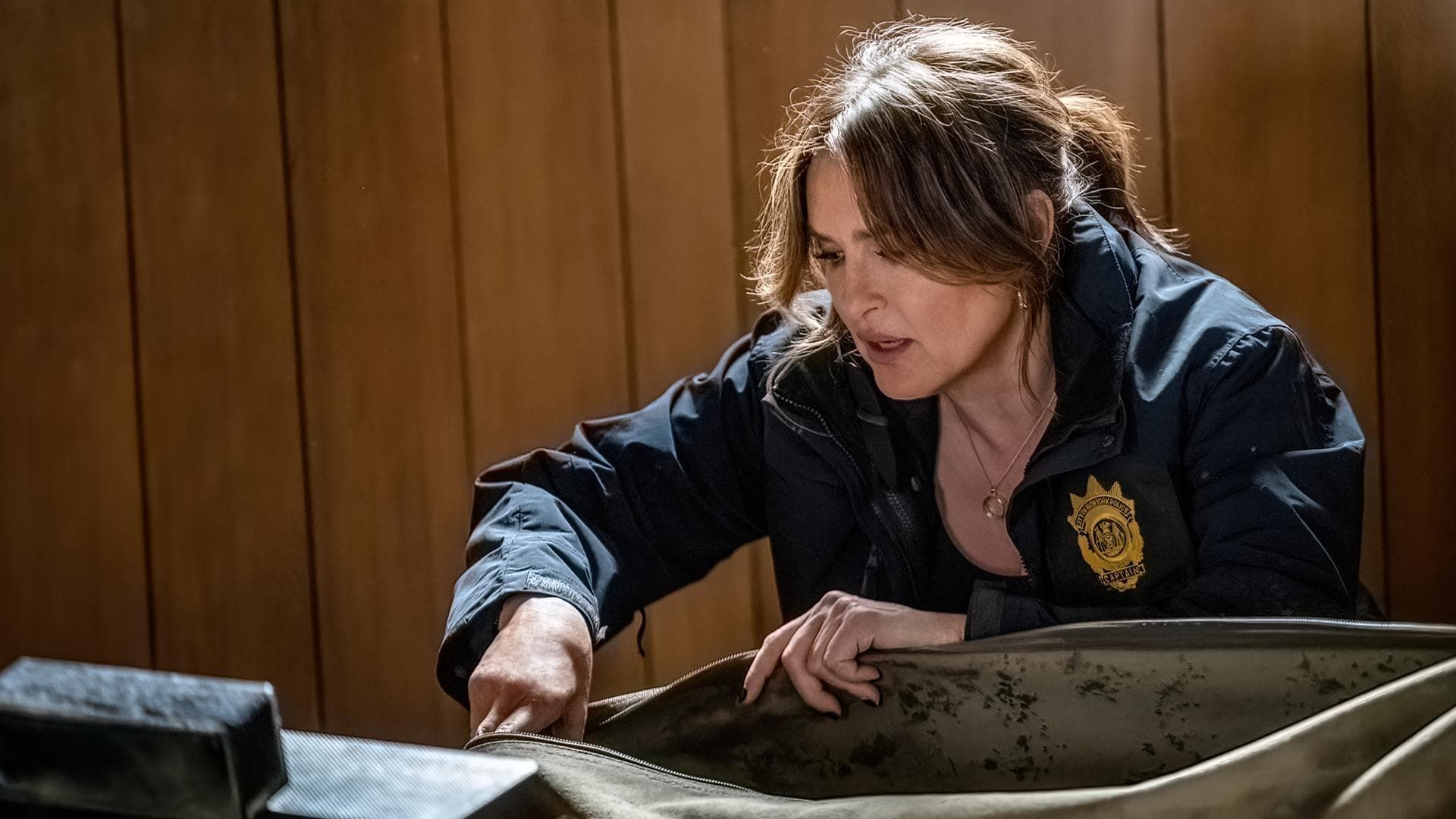 Law & Order: Special Victims Unit background