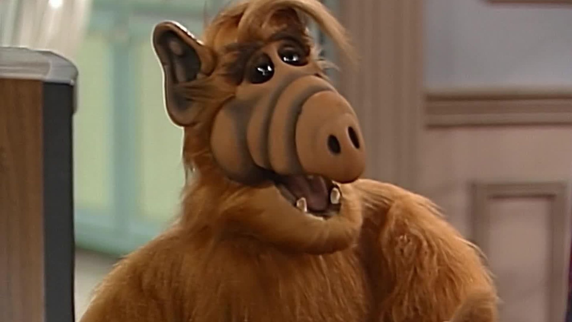 ALF background