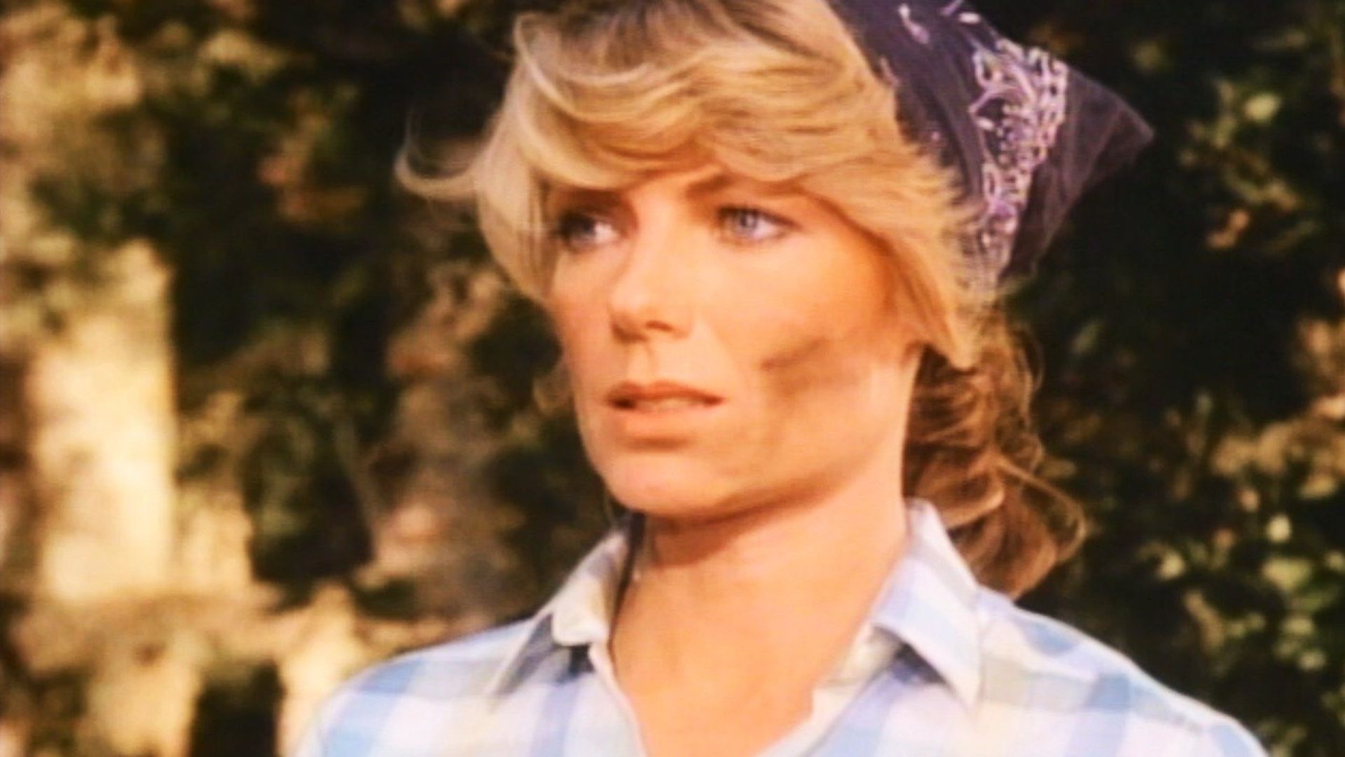 Falcon Crest background