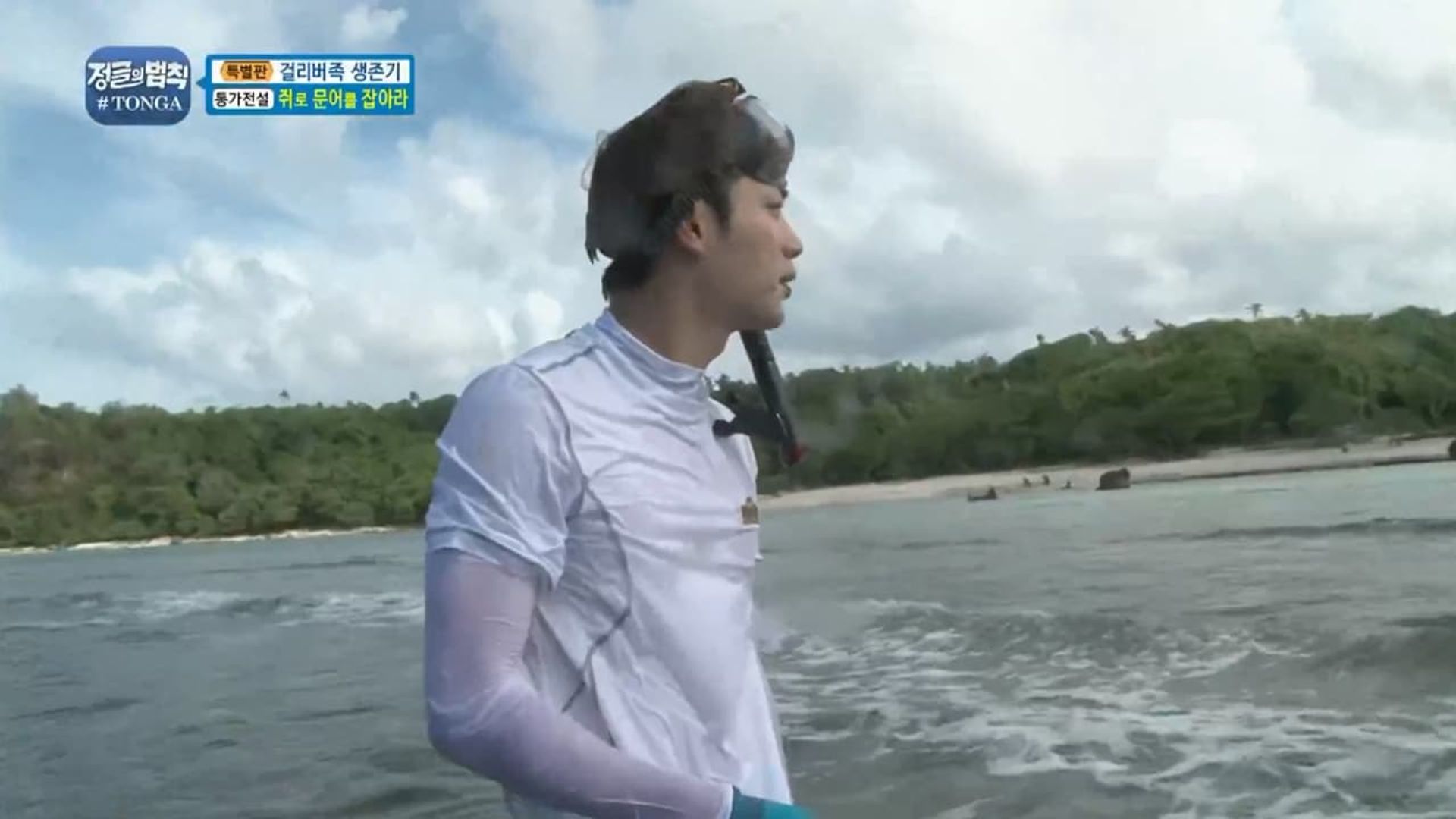 Law of the Jungle background