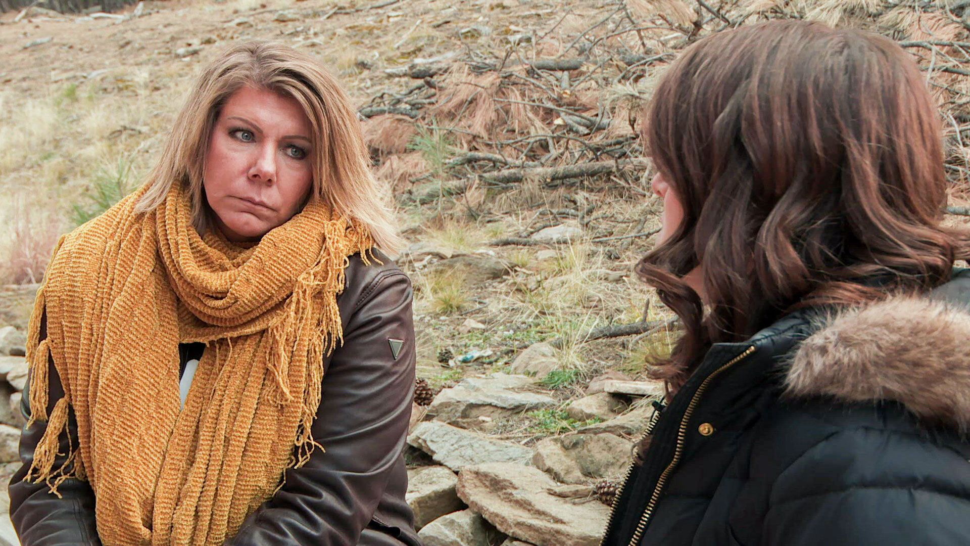 Sister Wives background