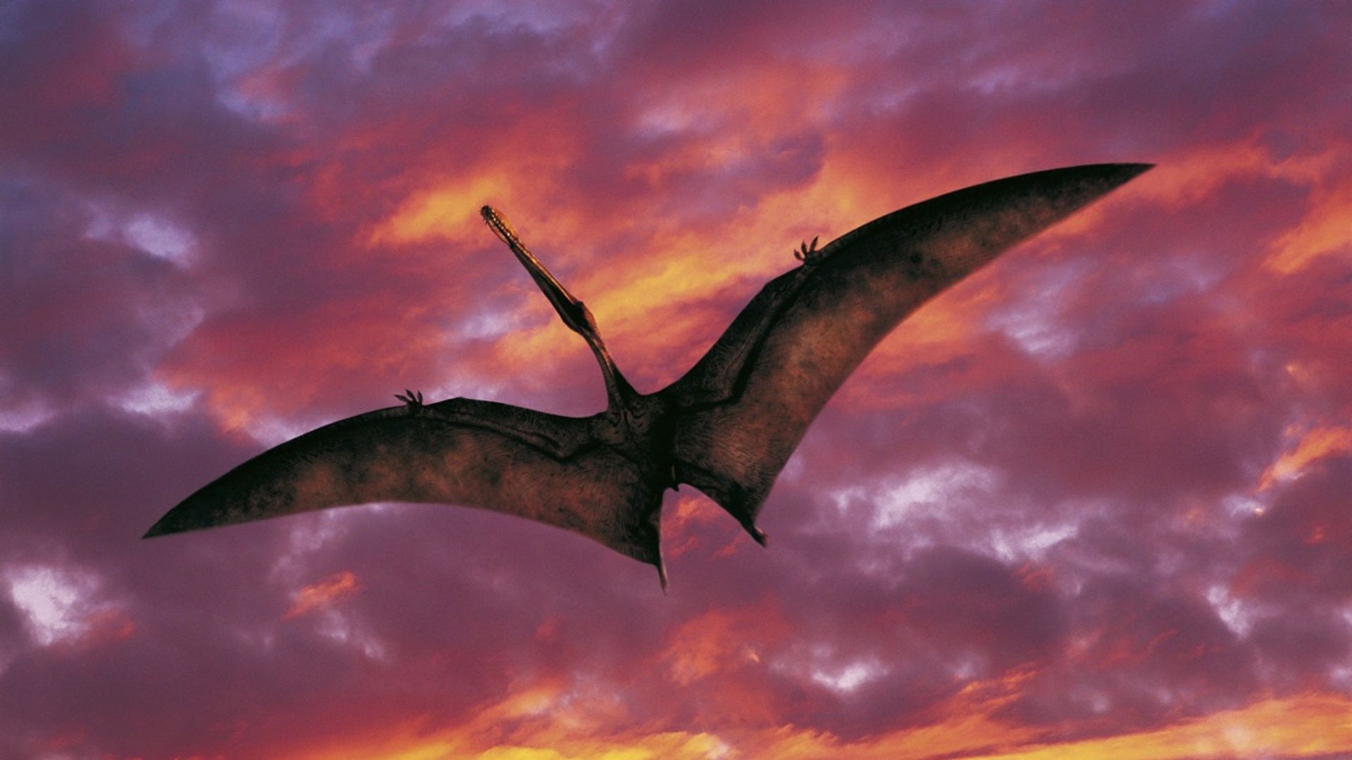 Walking with Dinosaurs background