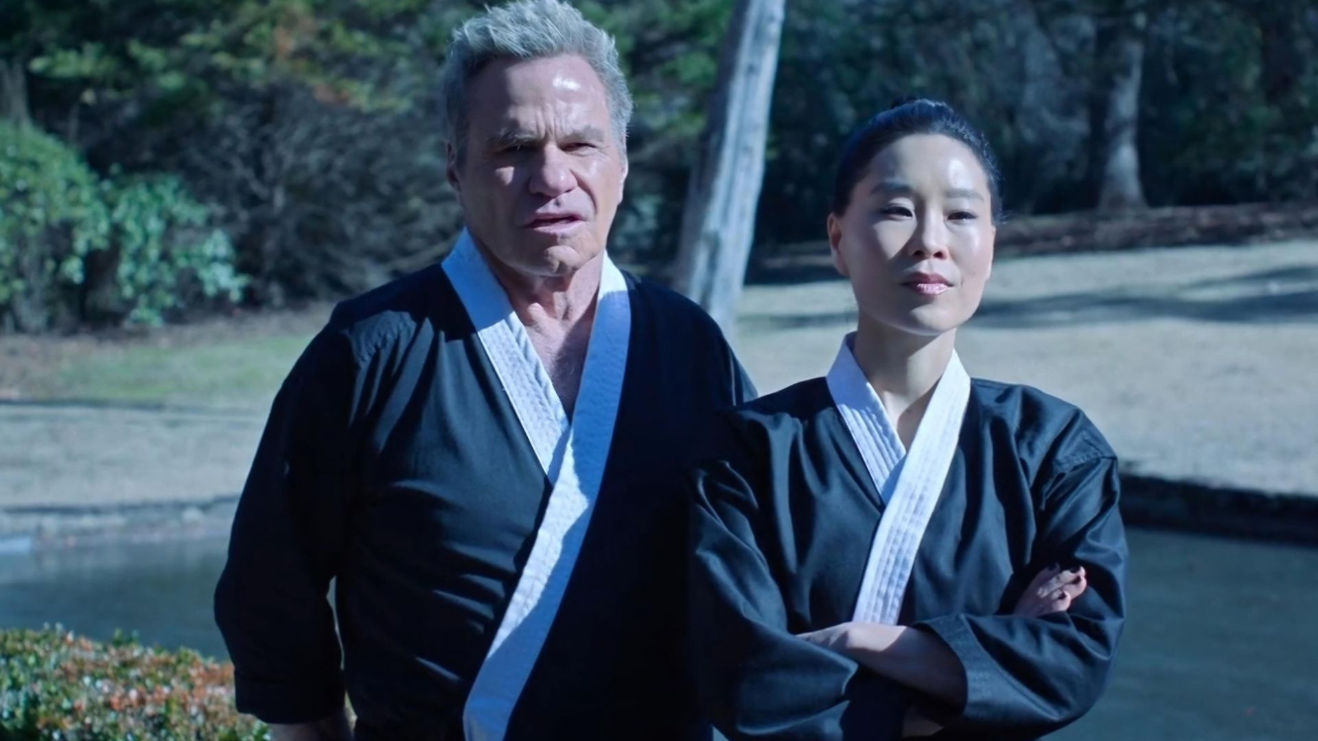Cobra Kai background