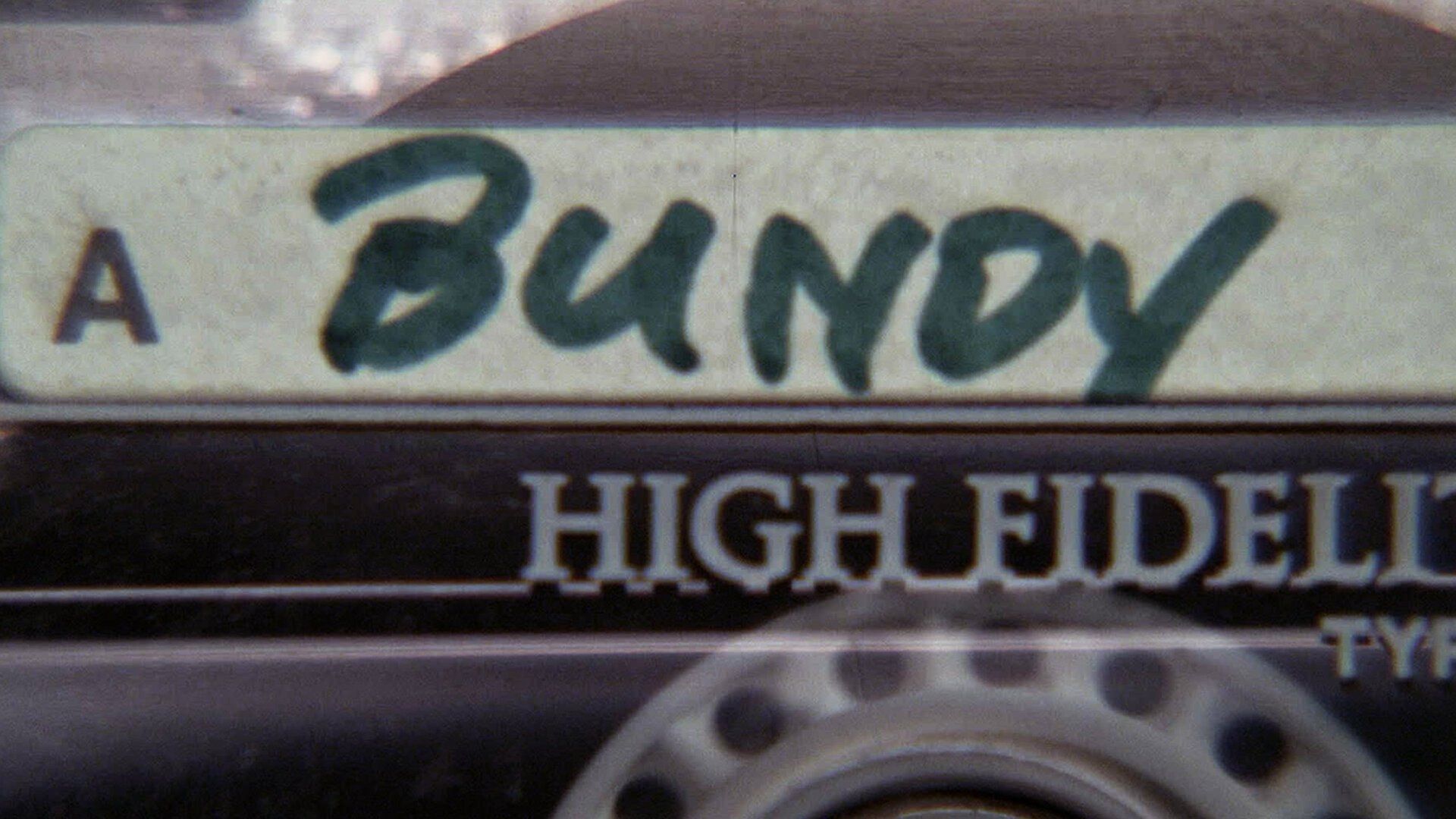 Conversations with a Killer: The Ted Bundy Tapes background