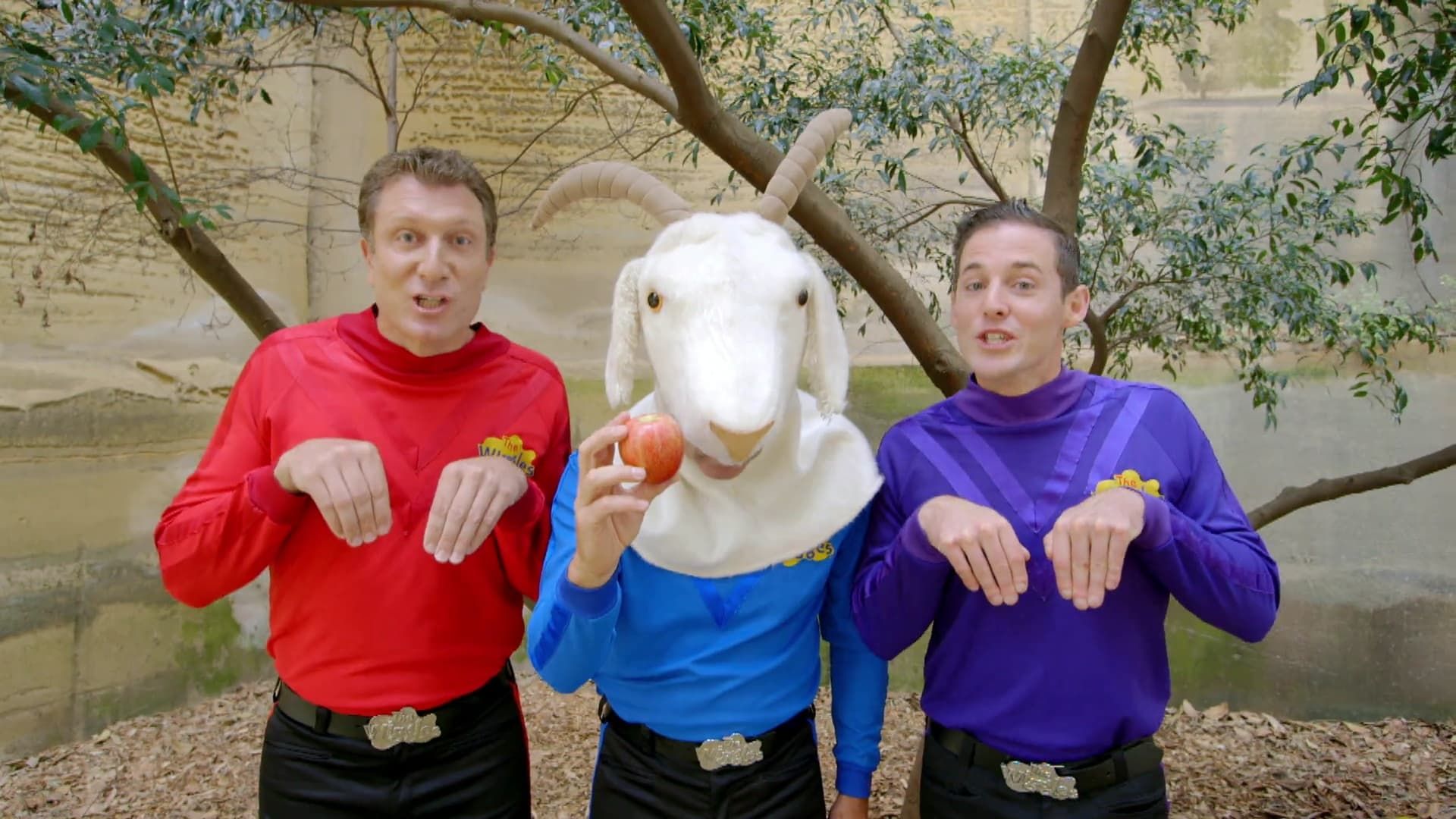Ready, Steady, Wiggle! background