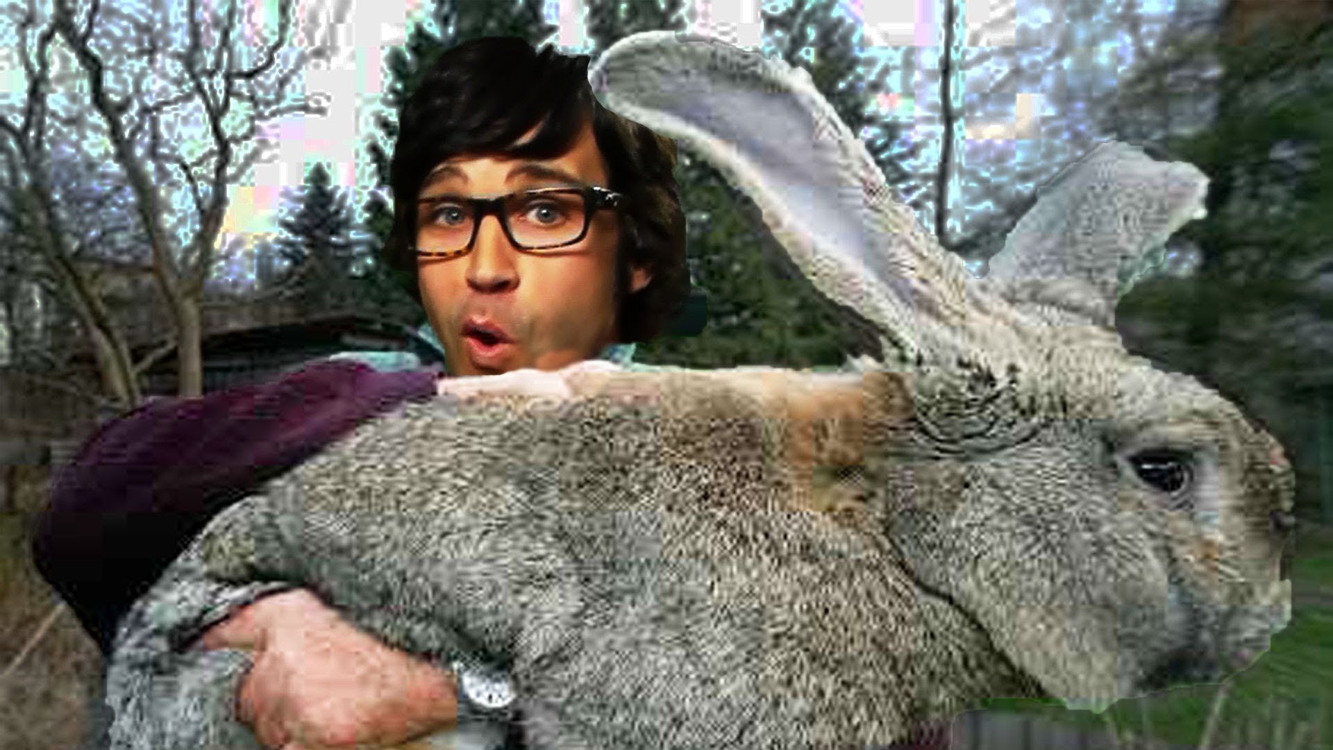 Good Mythical Morning background