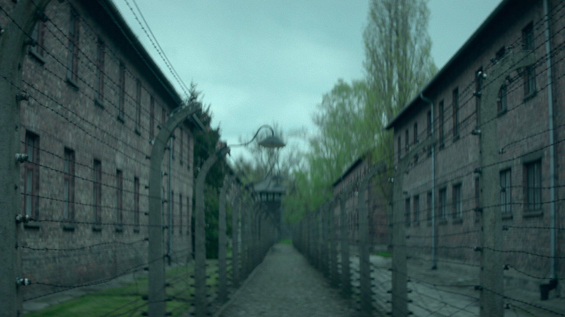 Hitler and the Nazis: Evil on Trial background