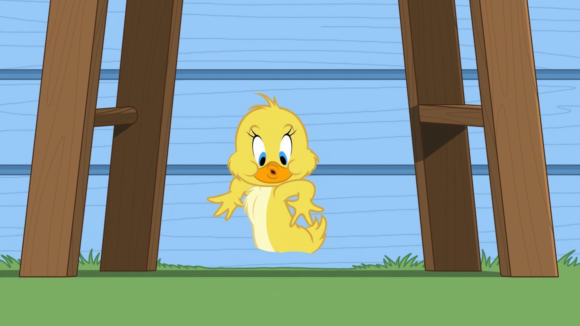 The Tom and Jerry Show background