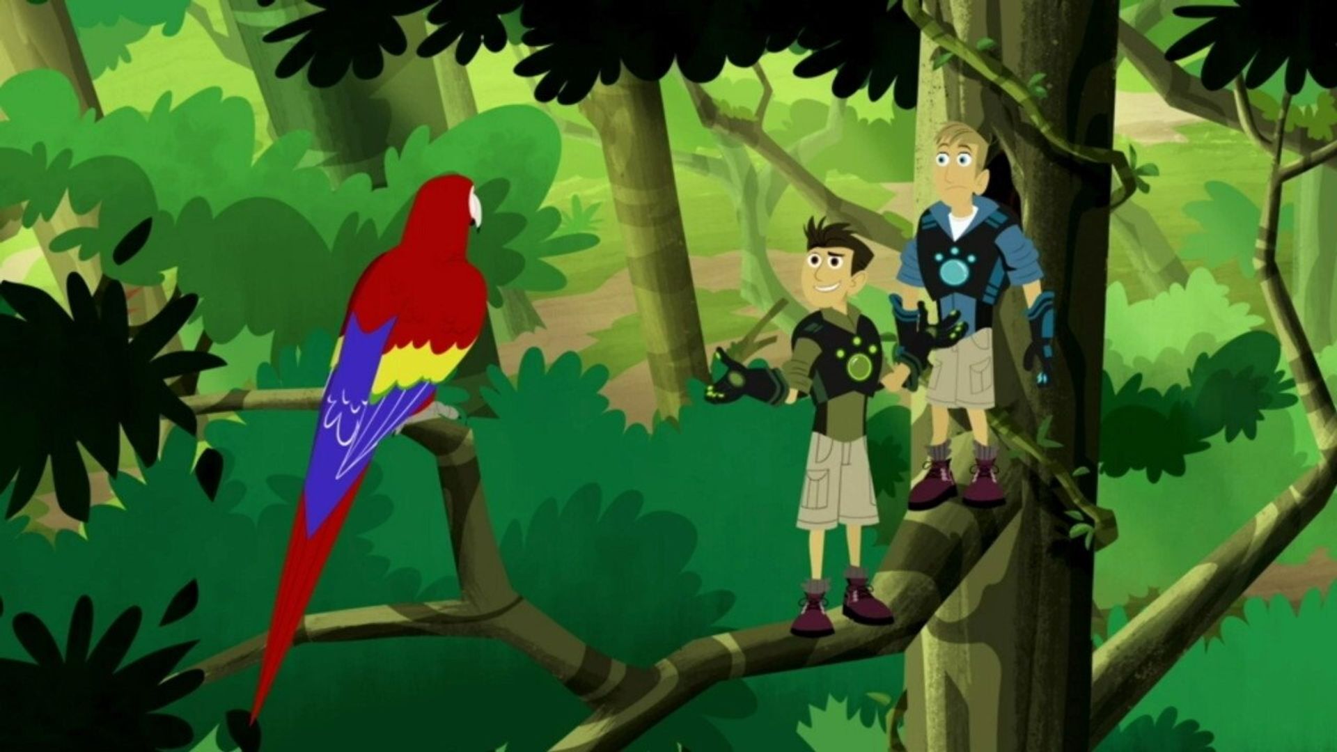 Wild Kratts background
