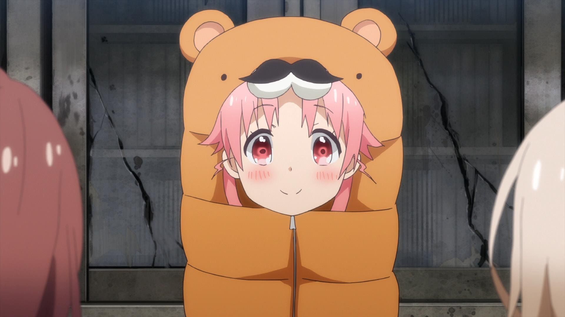 School-Live! background