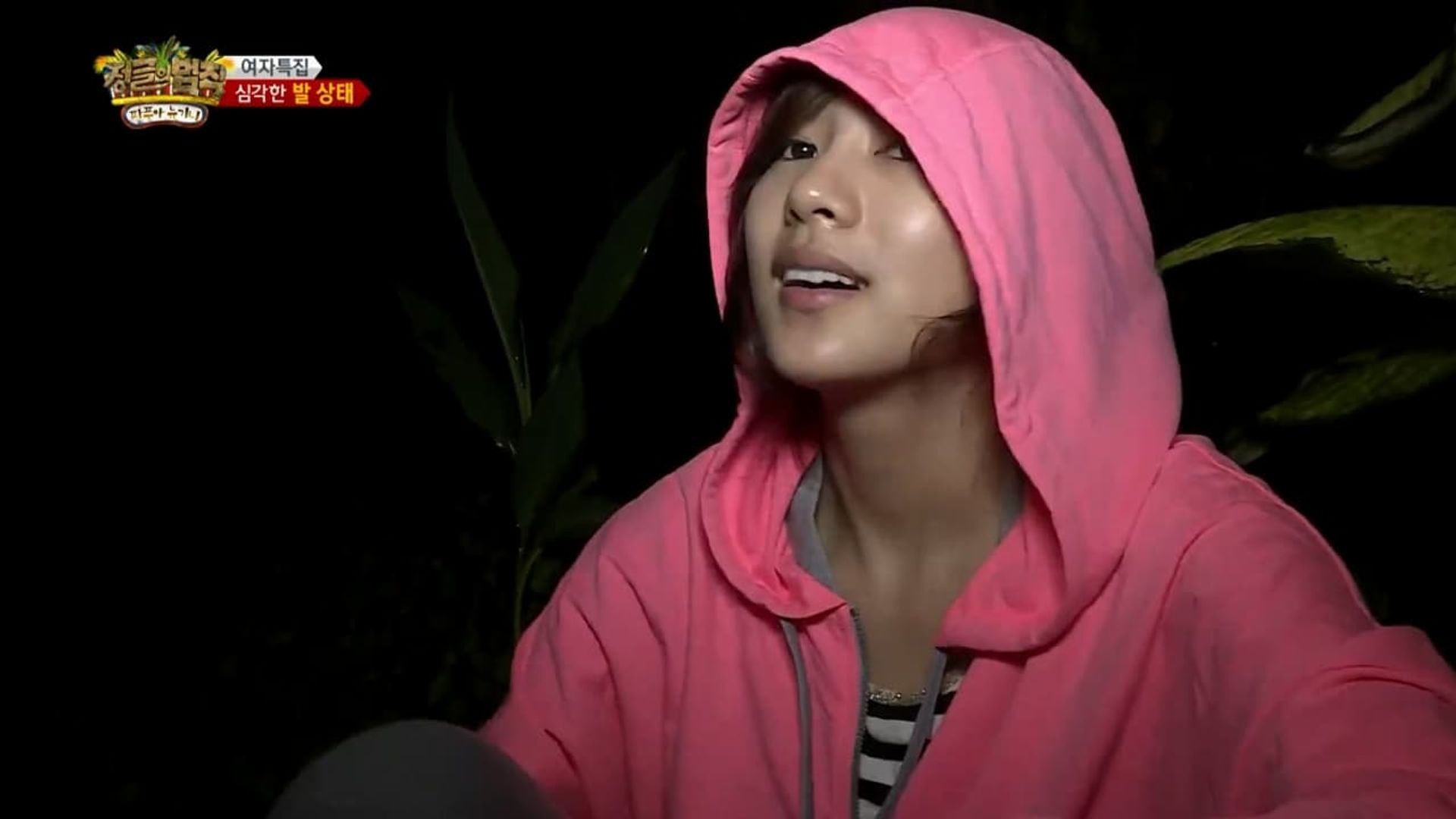 Law of the Jungle background