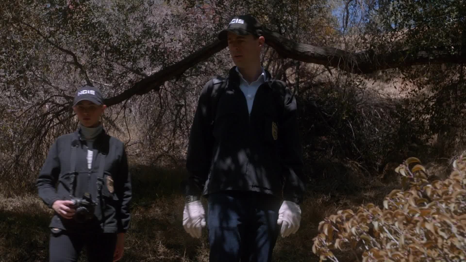 NCIS background