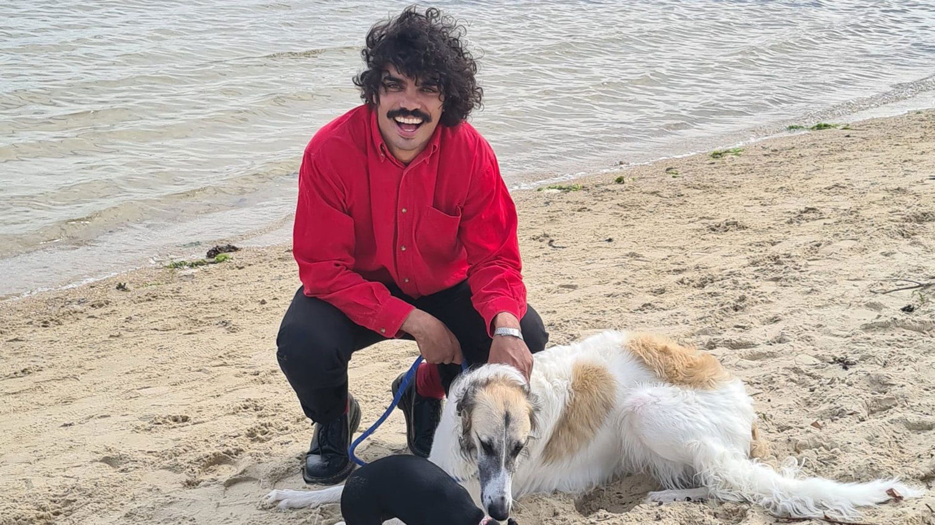 A Dog's World with Tony Armstrong background