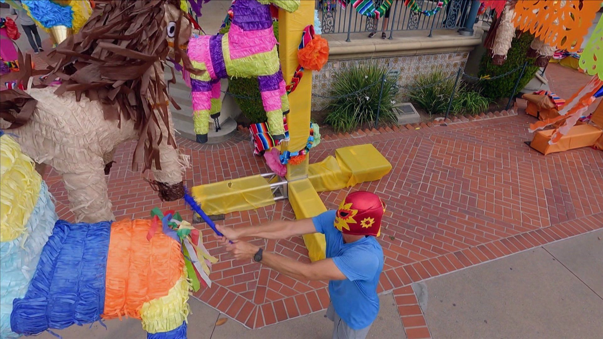 The Amazing Race background