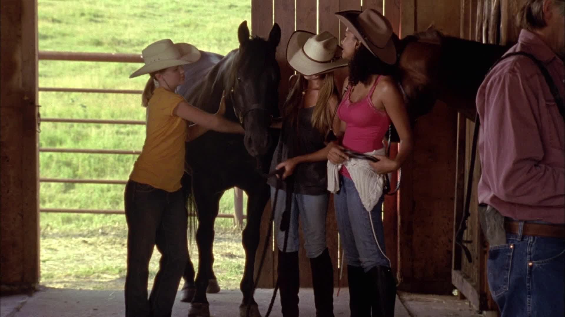 Heartland background