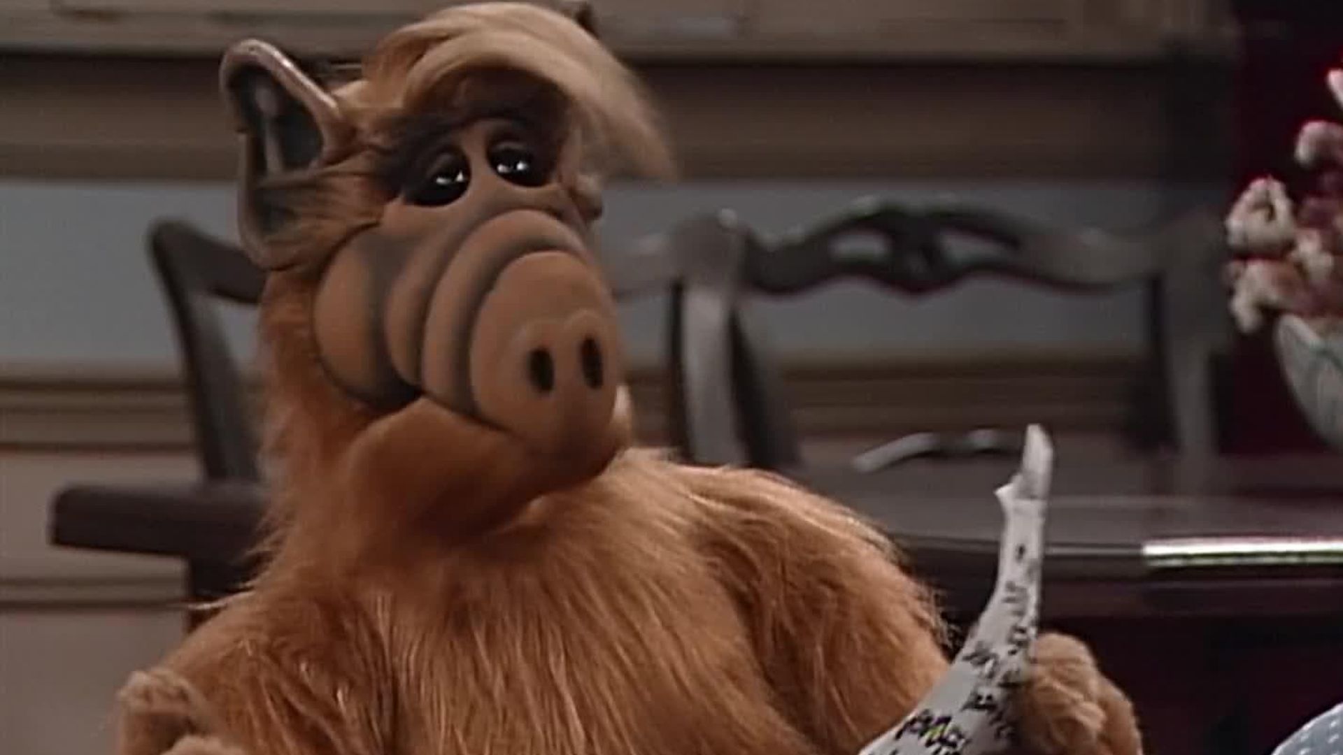 ALF background