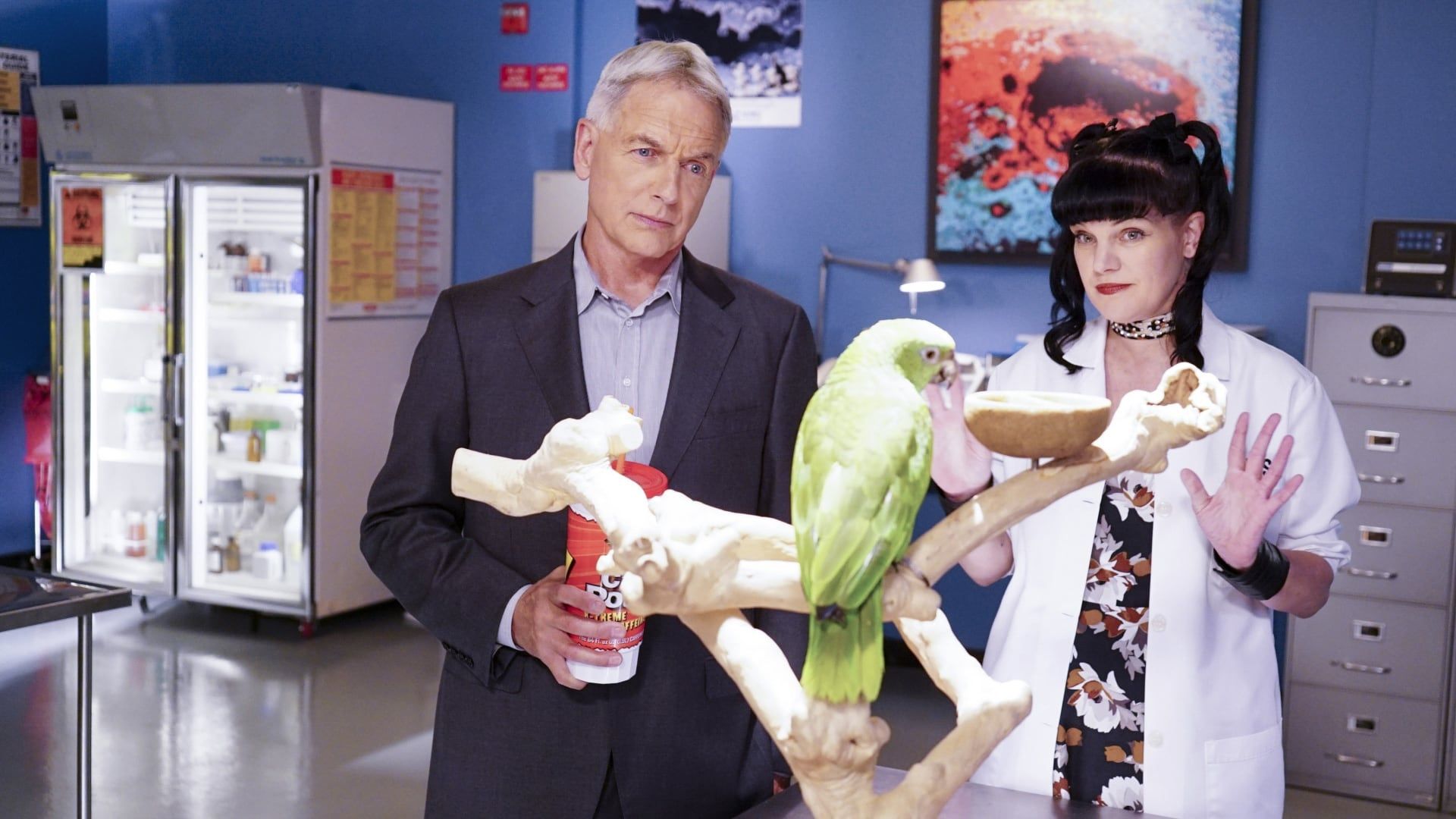 NCIS background