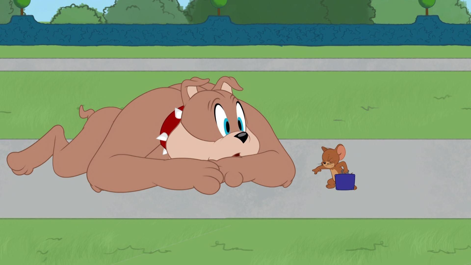 The Tom and Jerry Show background