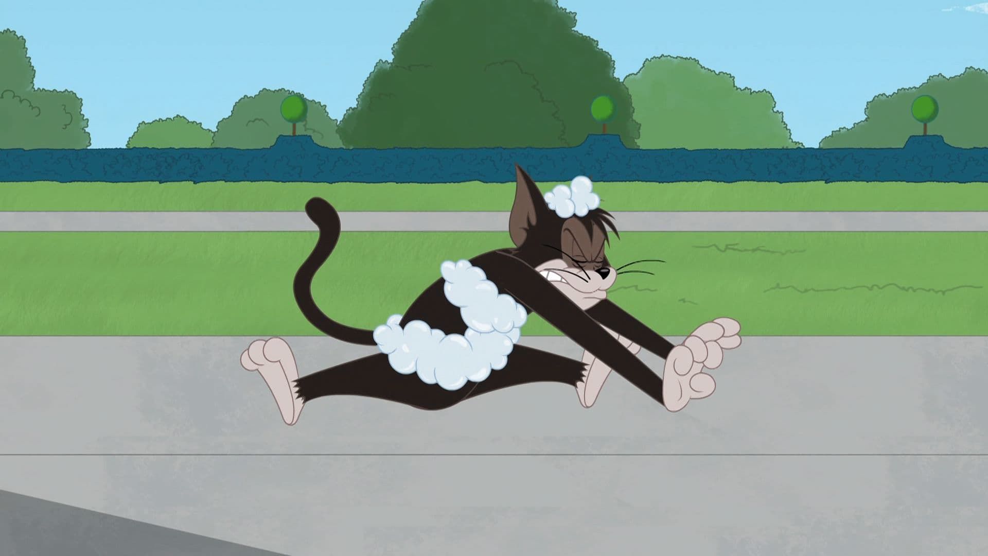 The Tom and Jerry Show background