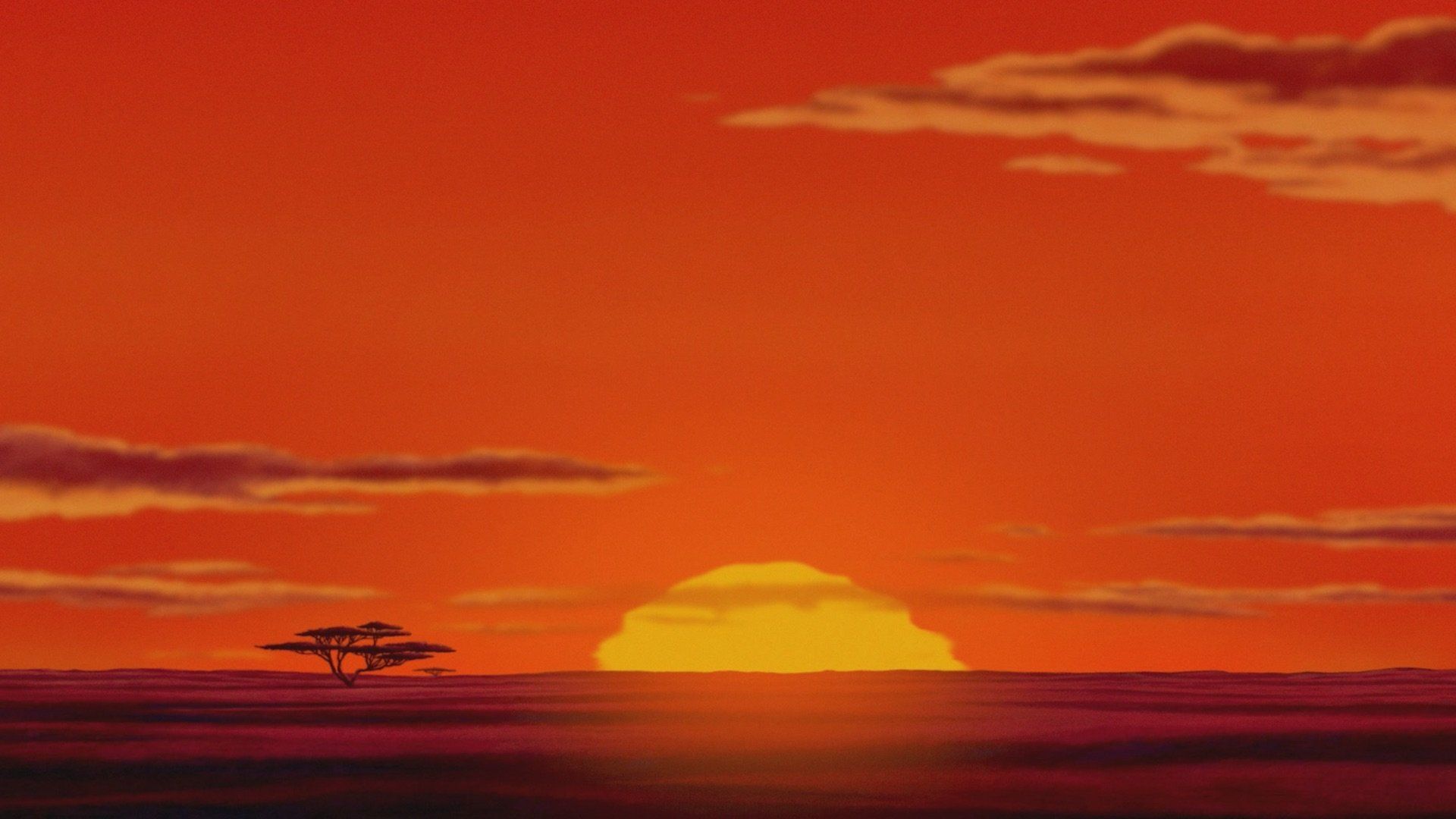 Zenimation background