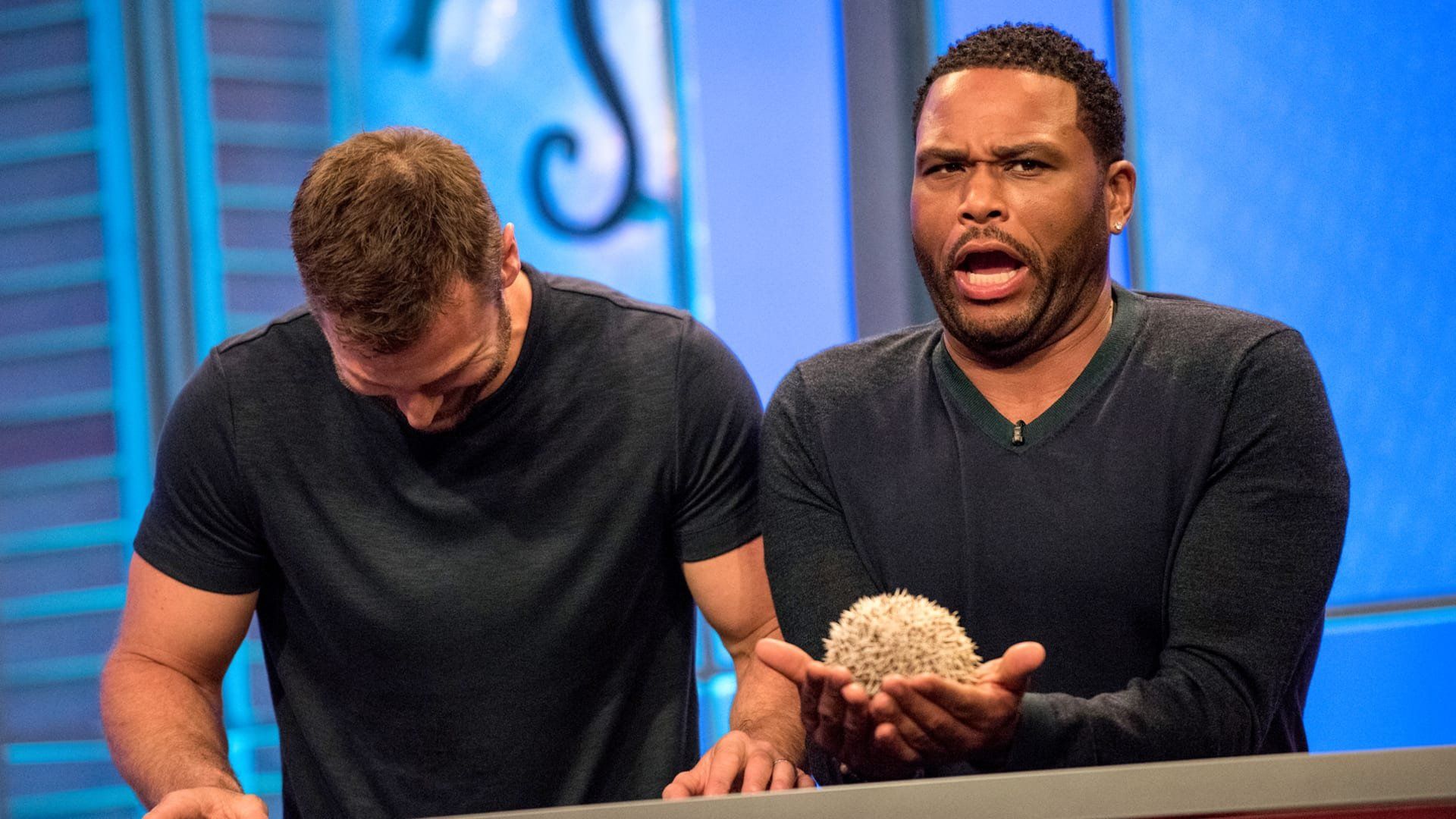 Animal Nation with Anthony Anderson background