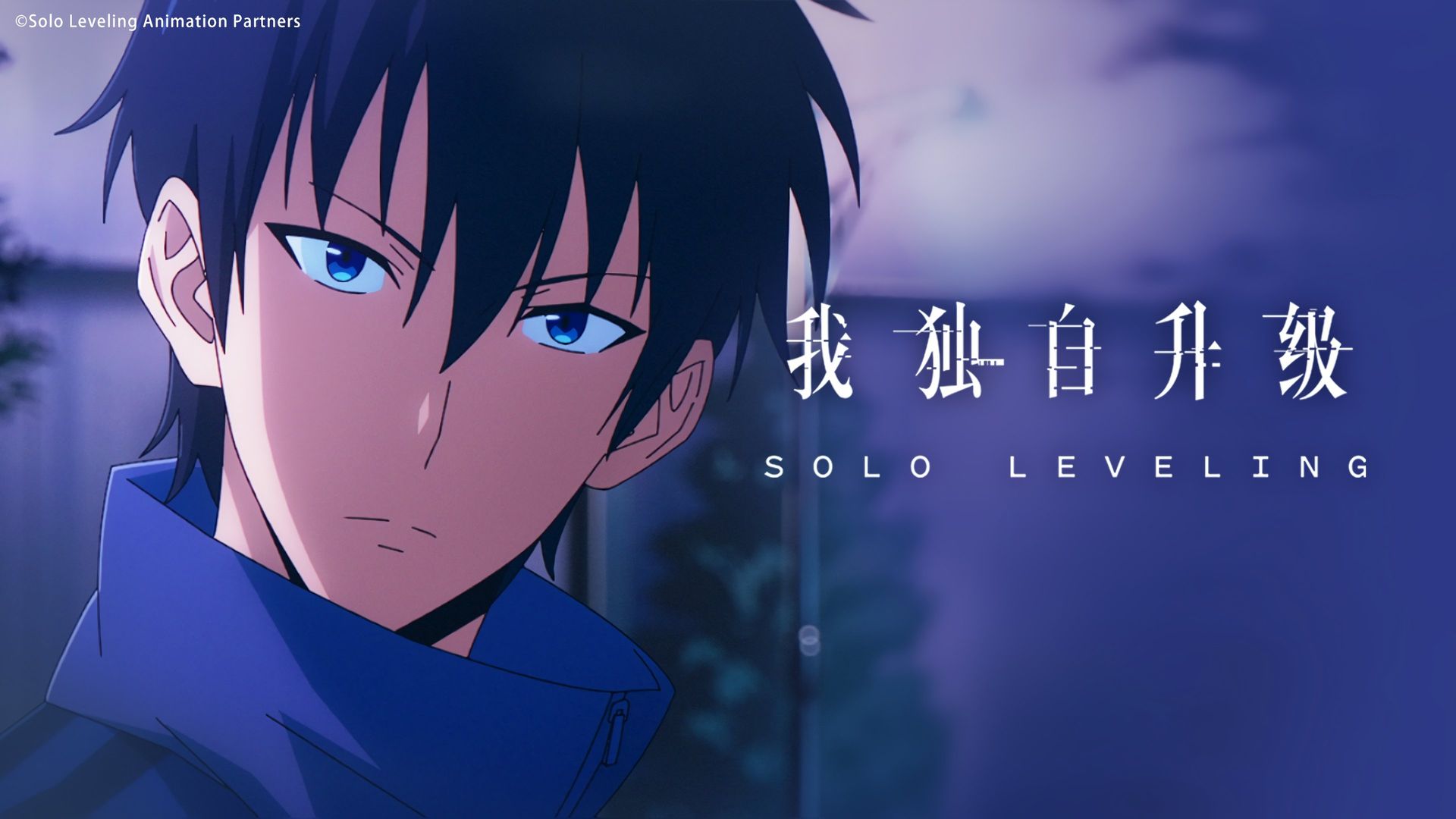 Solo Leveling background