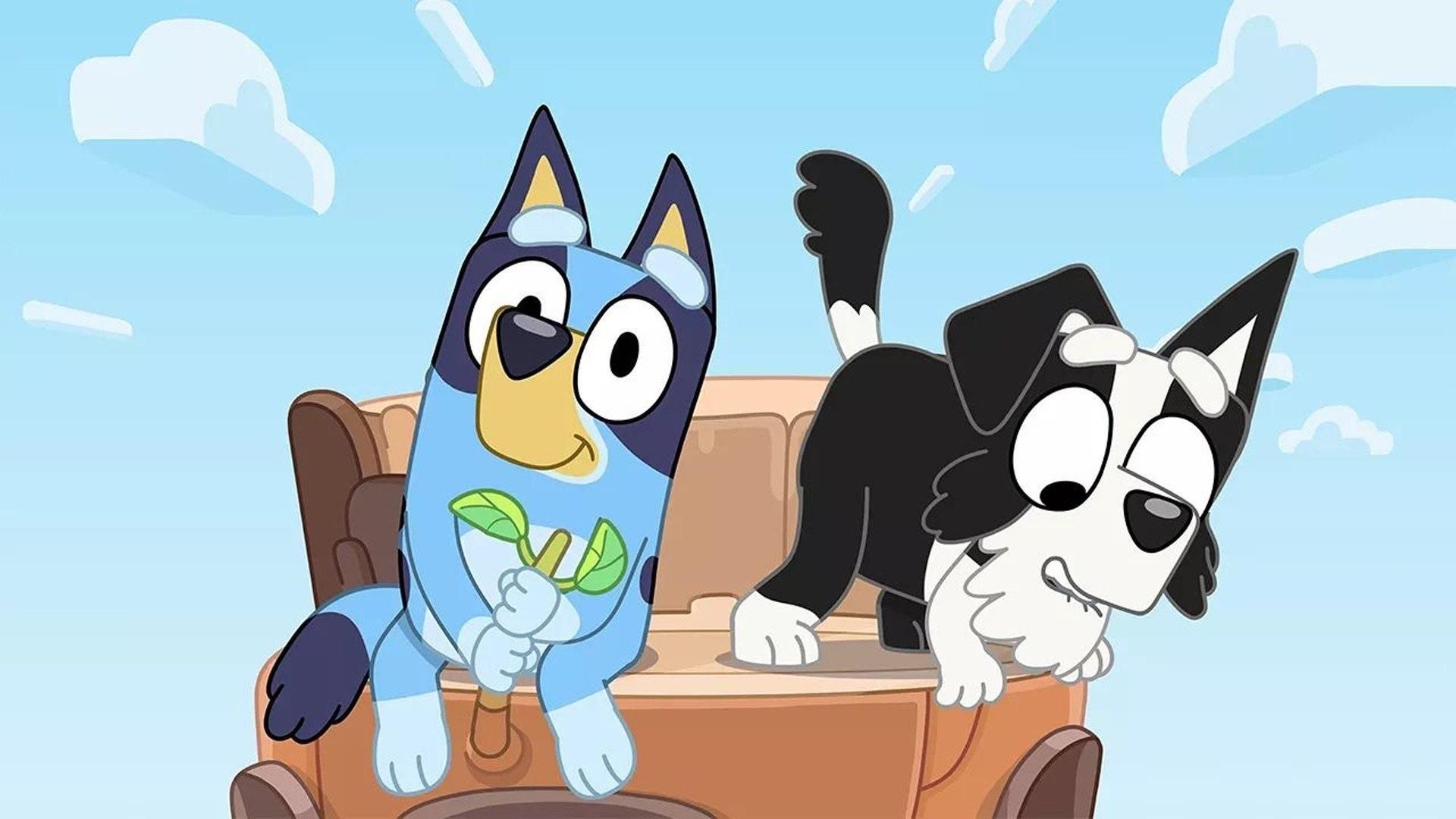 Bluey background