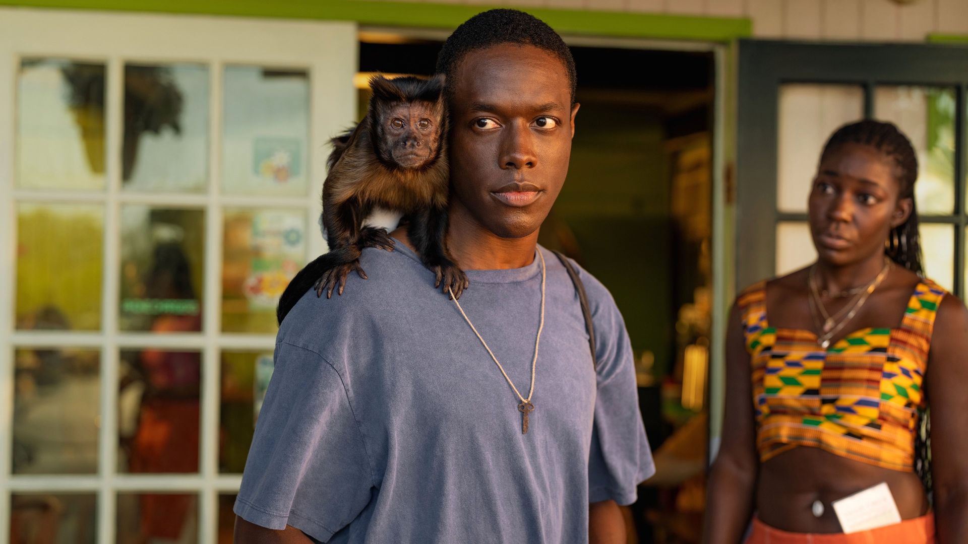 Bad Monkey background