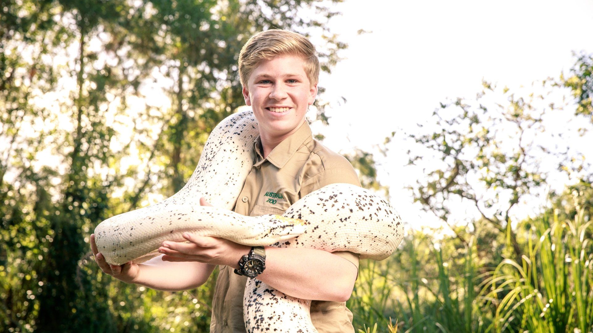 Crikey! It's the Irwins background