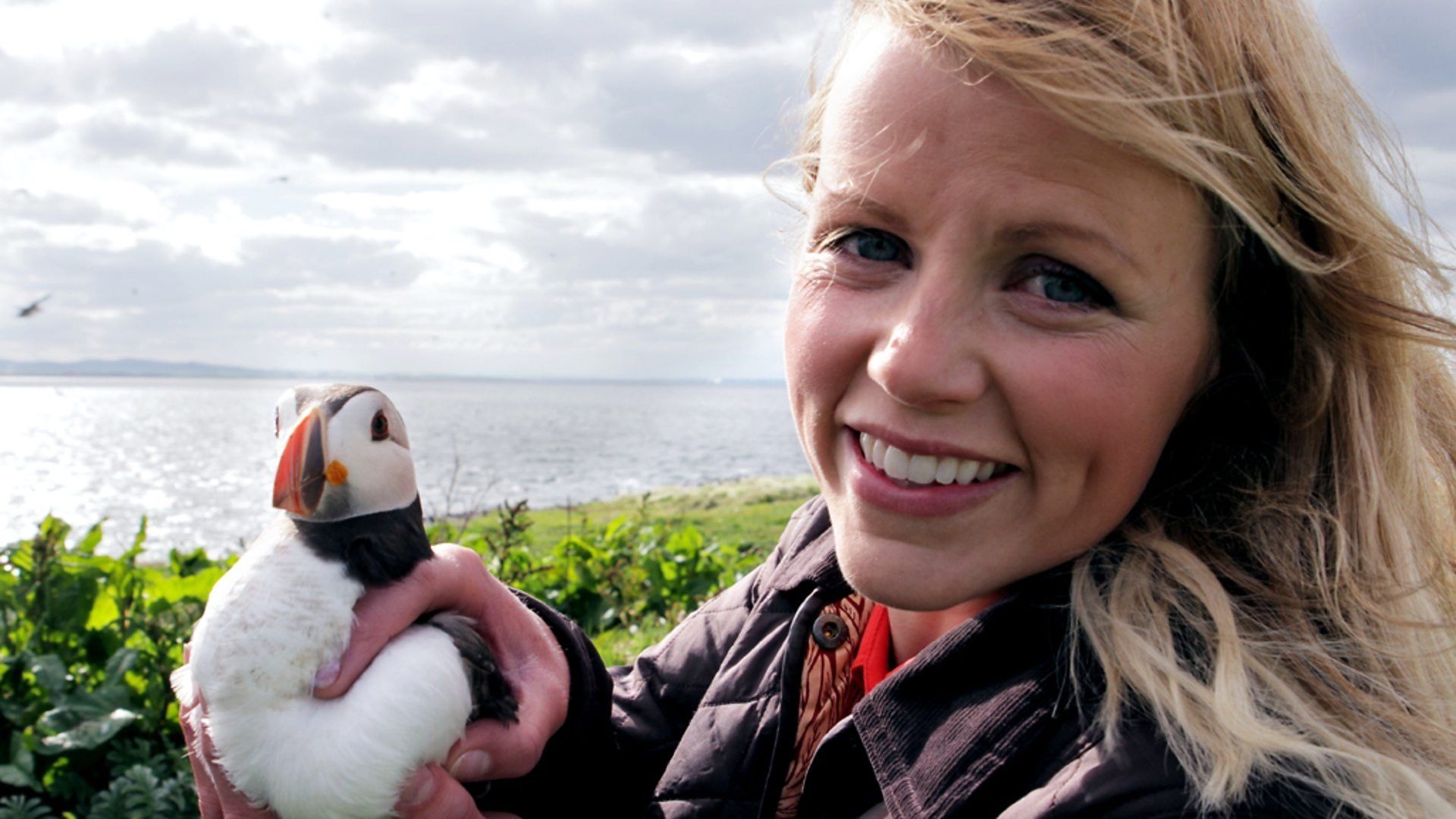 Britain's Big Wildlife Revival background
