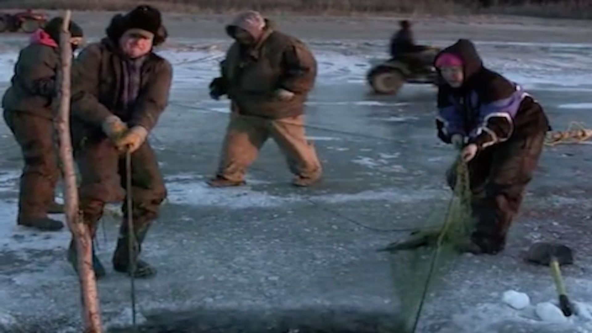 Life Below Zero background
