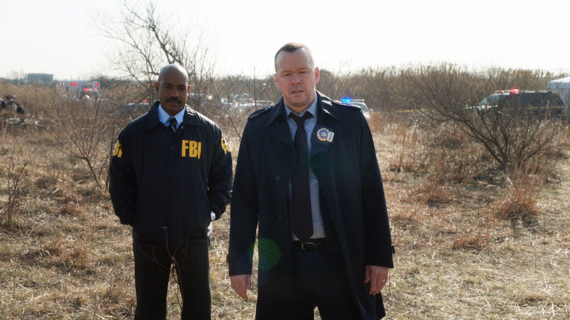 Blue Bloods background