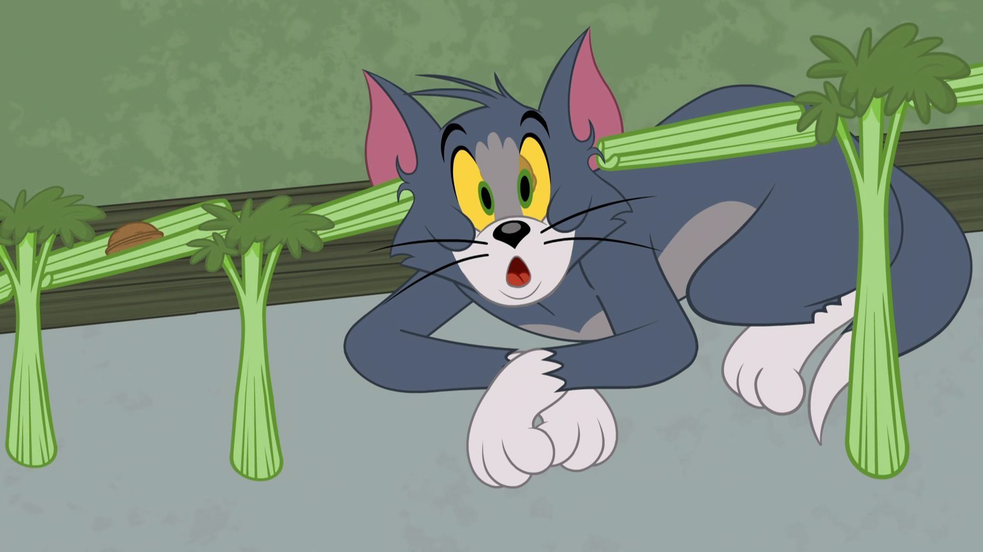 The Tom and Jerry Show background