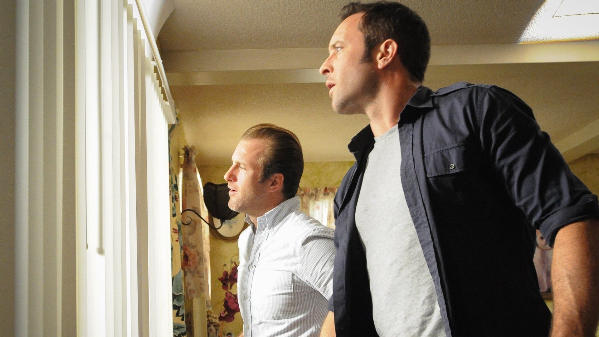 Hawaii Five-0 background
