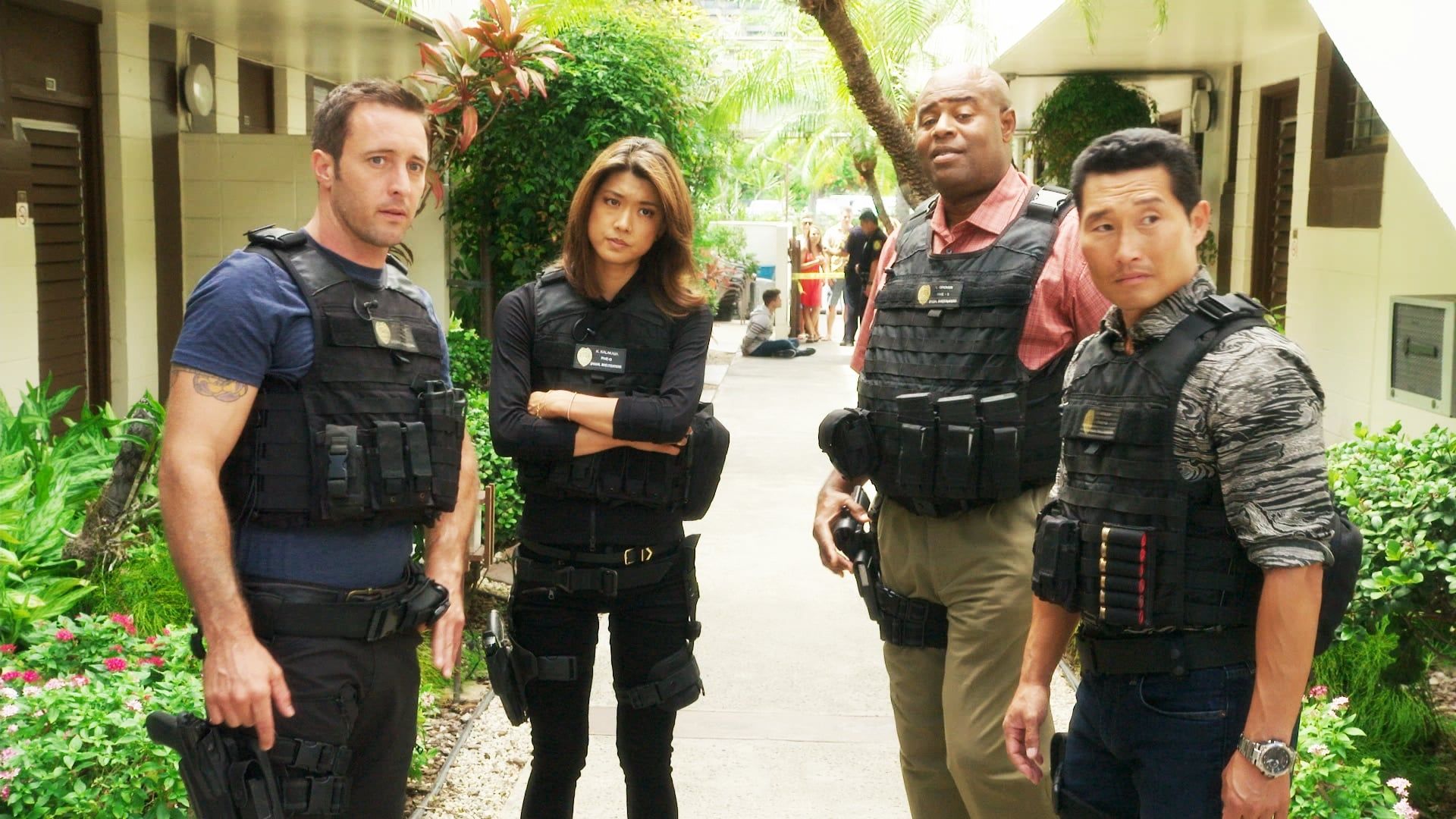 Hawaii Five-0 background