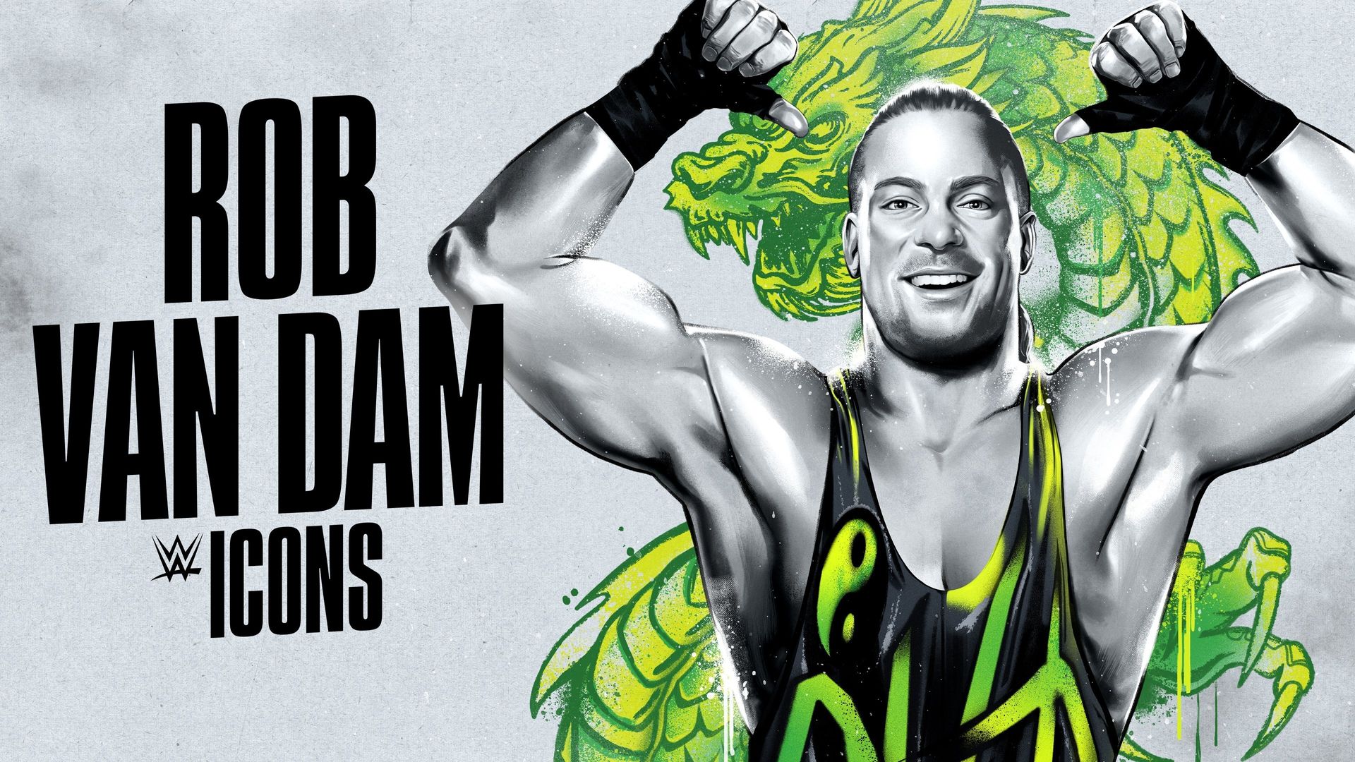 WWE Icons background