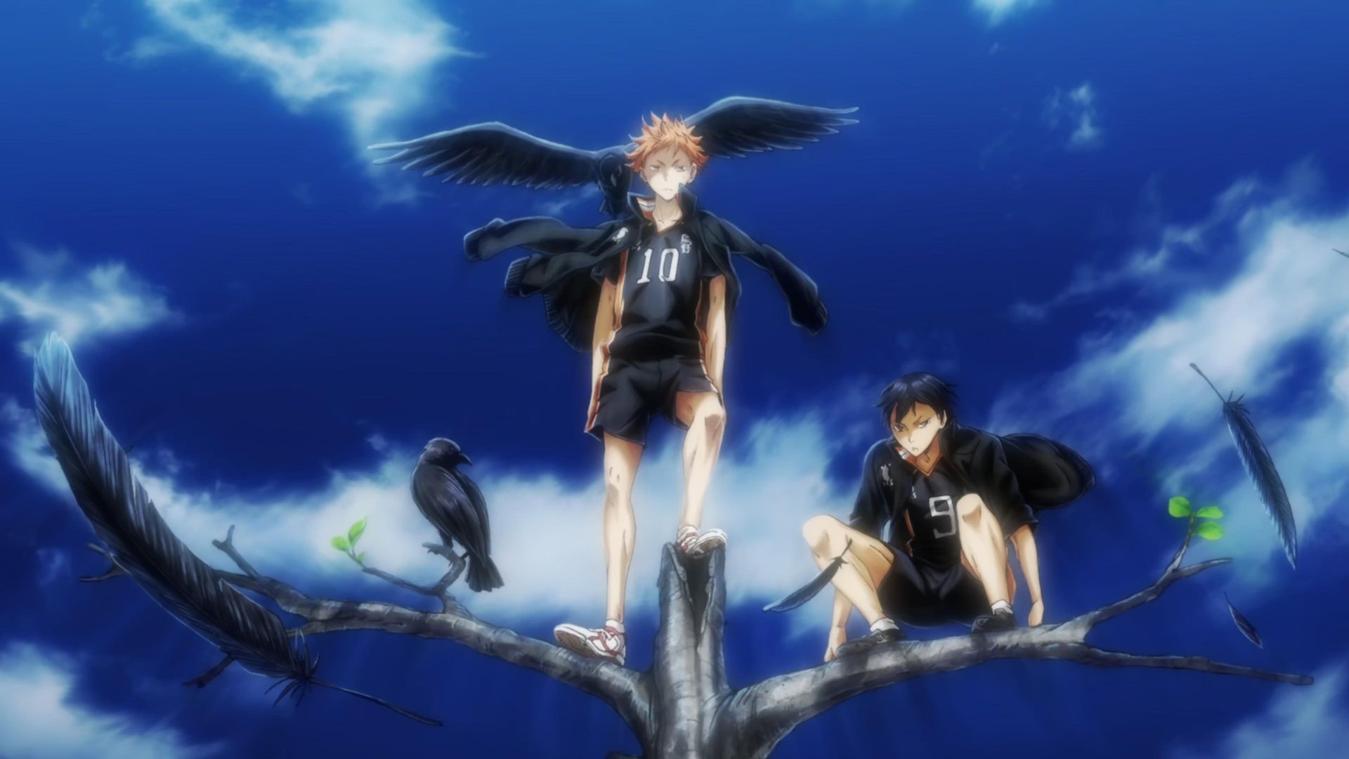 Haikyu!! background