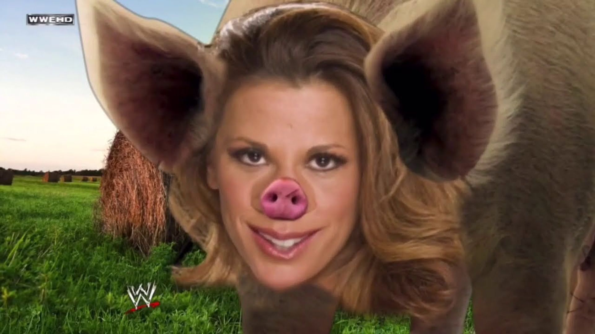 World Wrestling Federation Smackdown! background